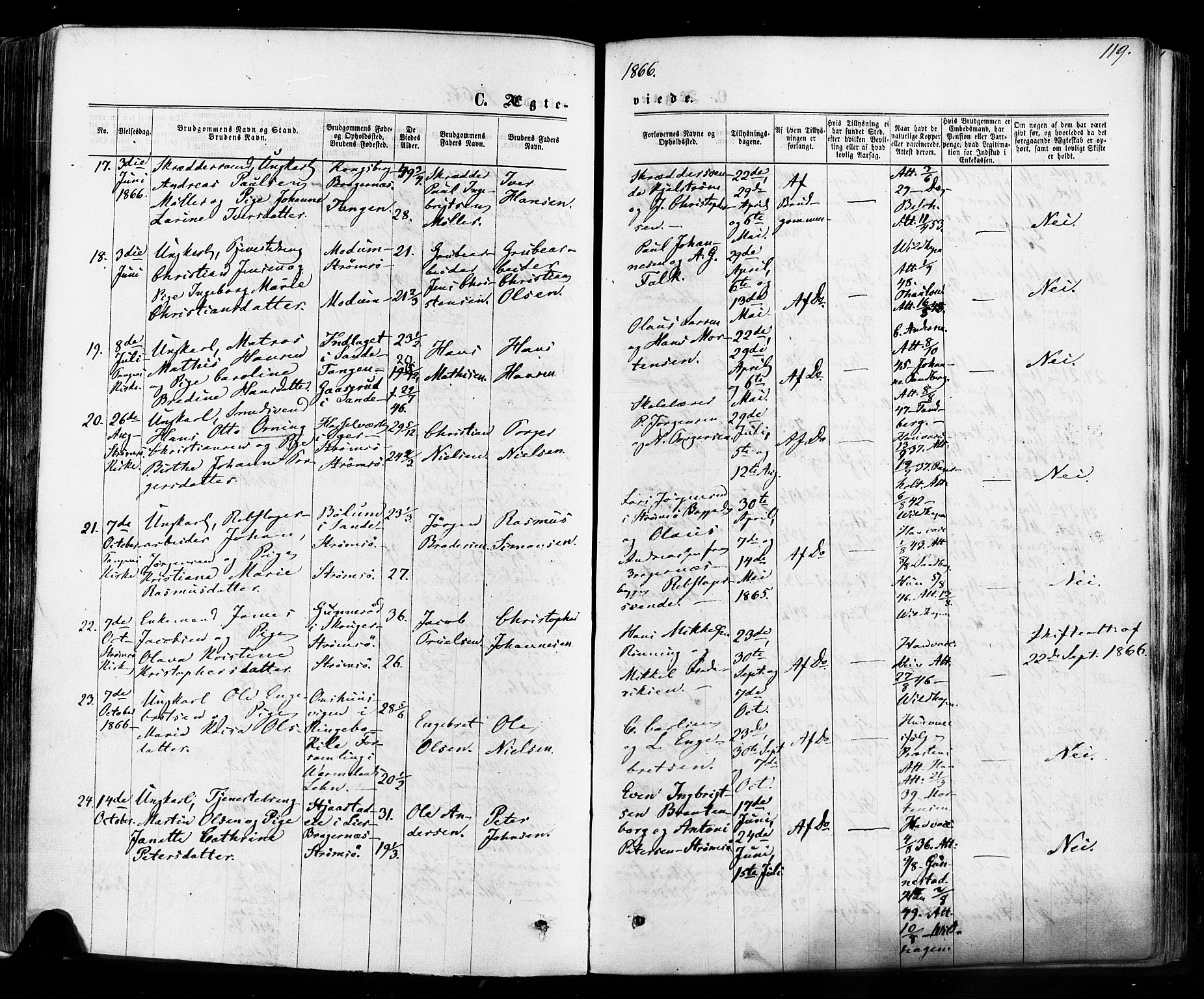 Strømsø kirkebøker, SAKO/A-246/F/Fa/L0018: Parish register (official) no. I 18, 1865-1878, p. 119