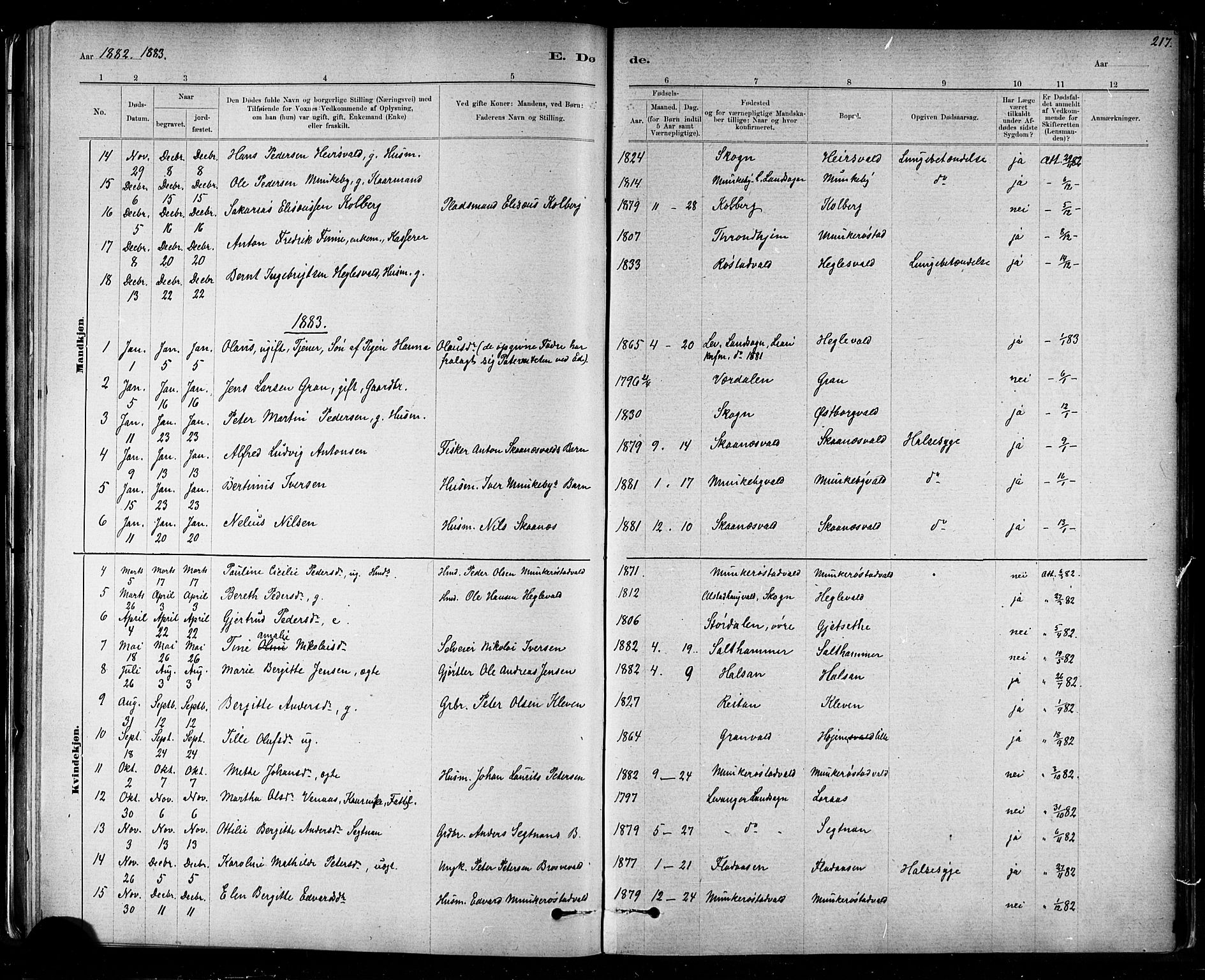 Ministerialprotokoller, klokkerbøker og fødselsregistre - Nord-Trøndelag, SAT/A-1458/721/L0208: Parish register (copy) no. 721C01, 1880-1917, p. 217