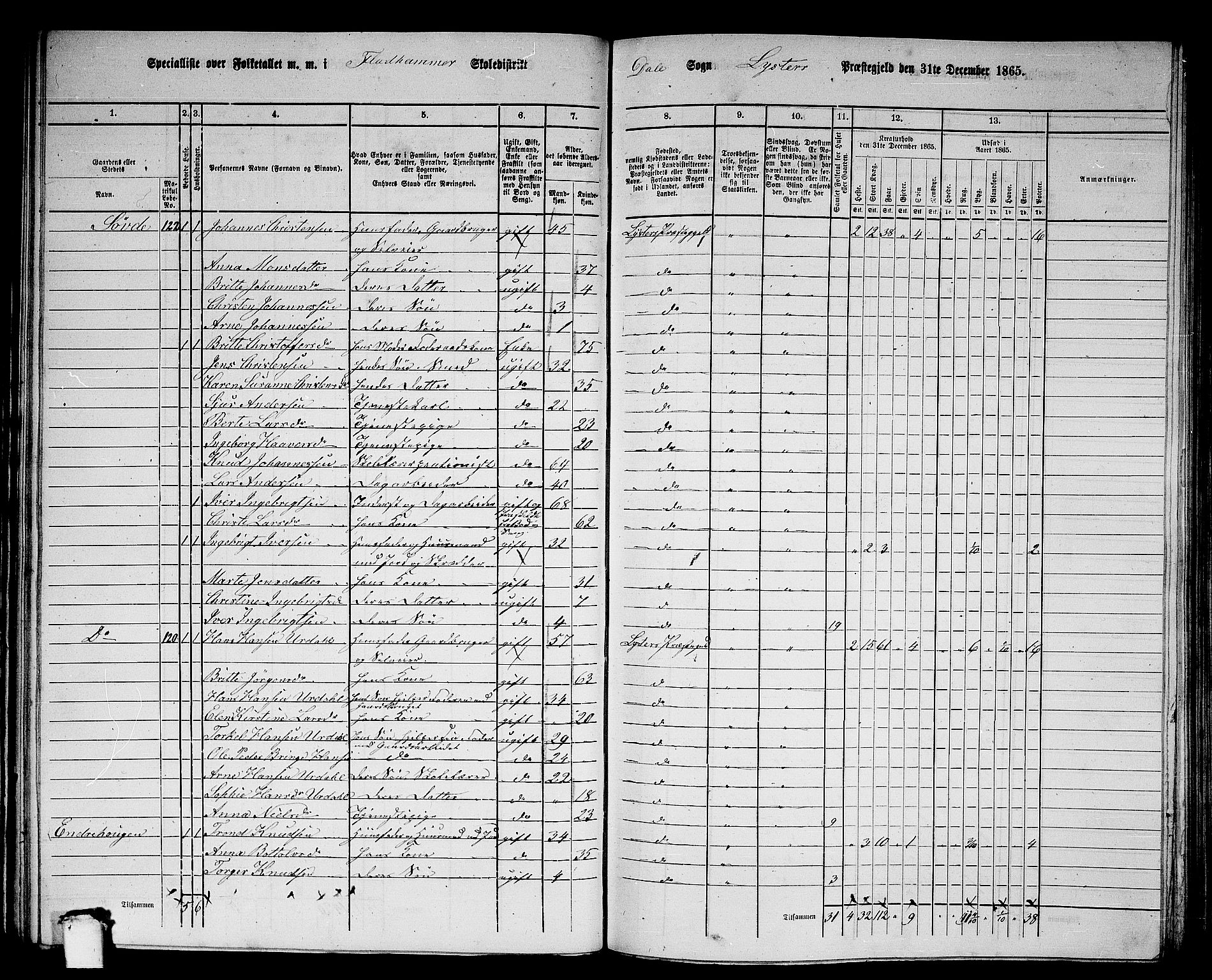 RA, 1865 census for Luster, 1865, p. 69