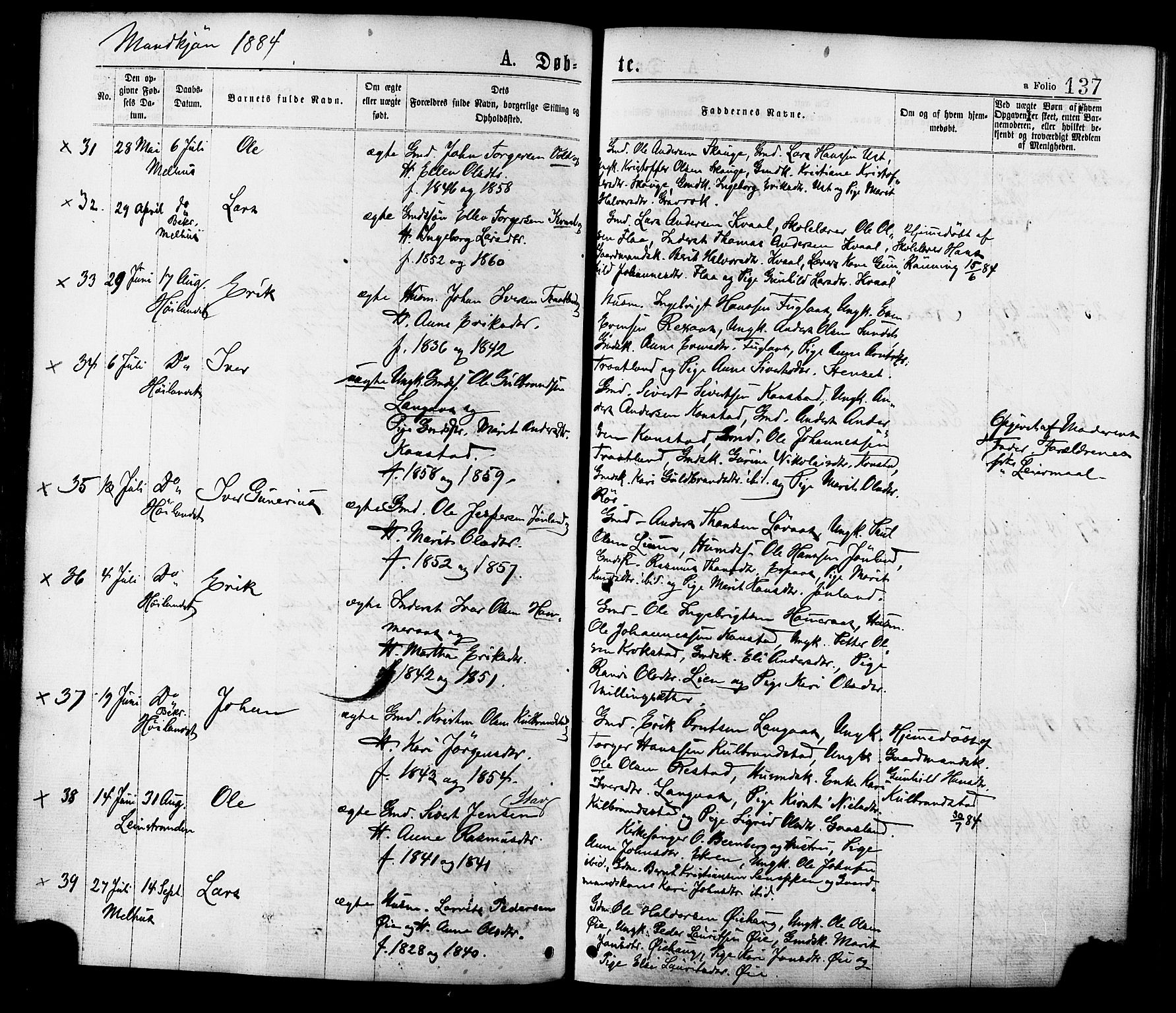 Ministerialprotokoller, klokkerbøker og fødselsregistre - Sør-Trøndelag, SAT/A-1456/691/L1079: Parish register (official) no. 691A11, 1873-1886, p. 137
