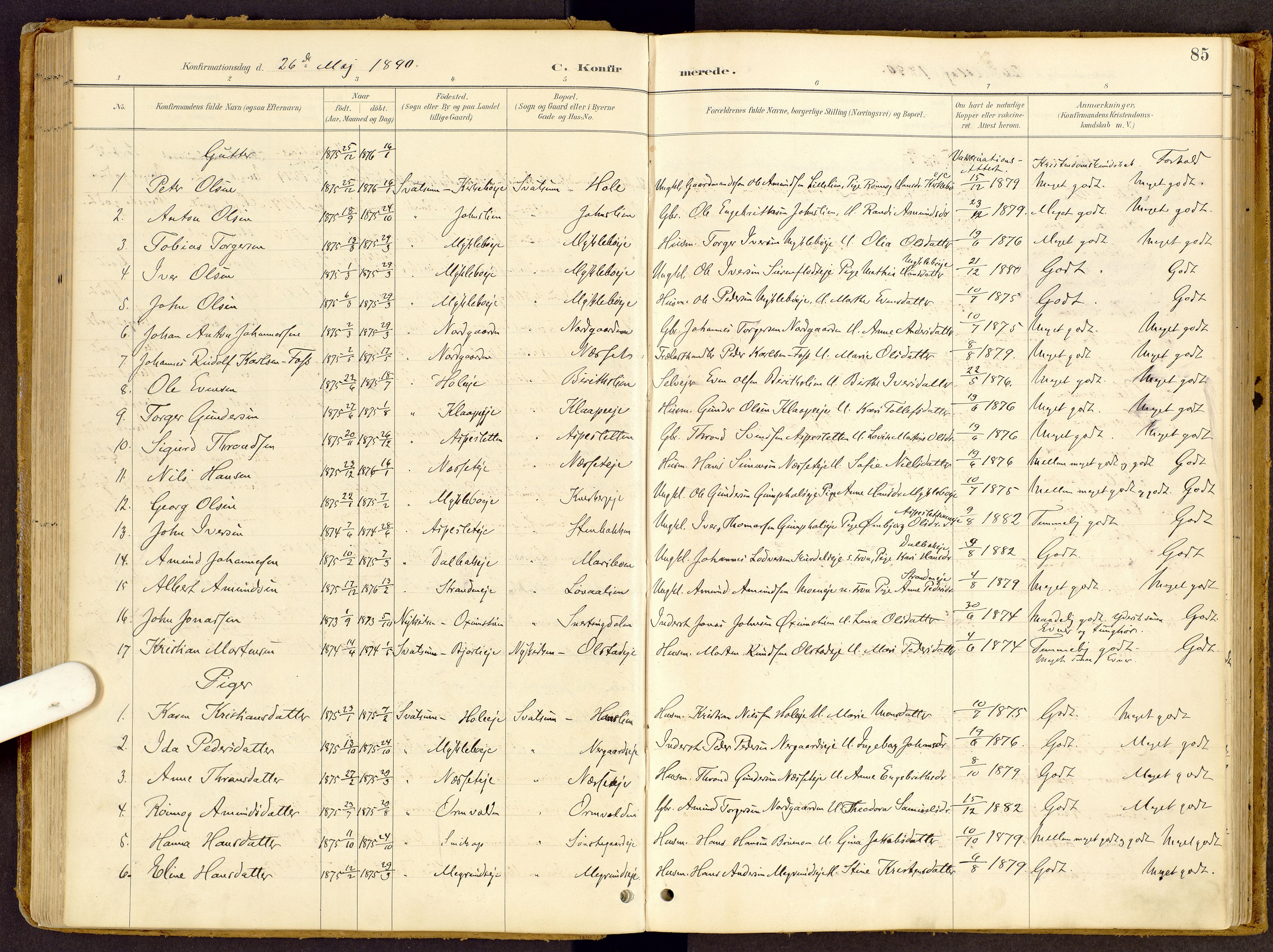Vestre Gausdal prestekontor, SAH/PREST-094/H/Ha/Haa/L0002: Parish register (official) no. 2, 1887-1918, p. 85