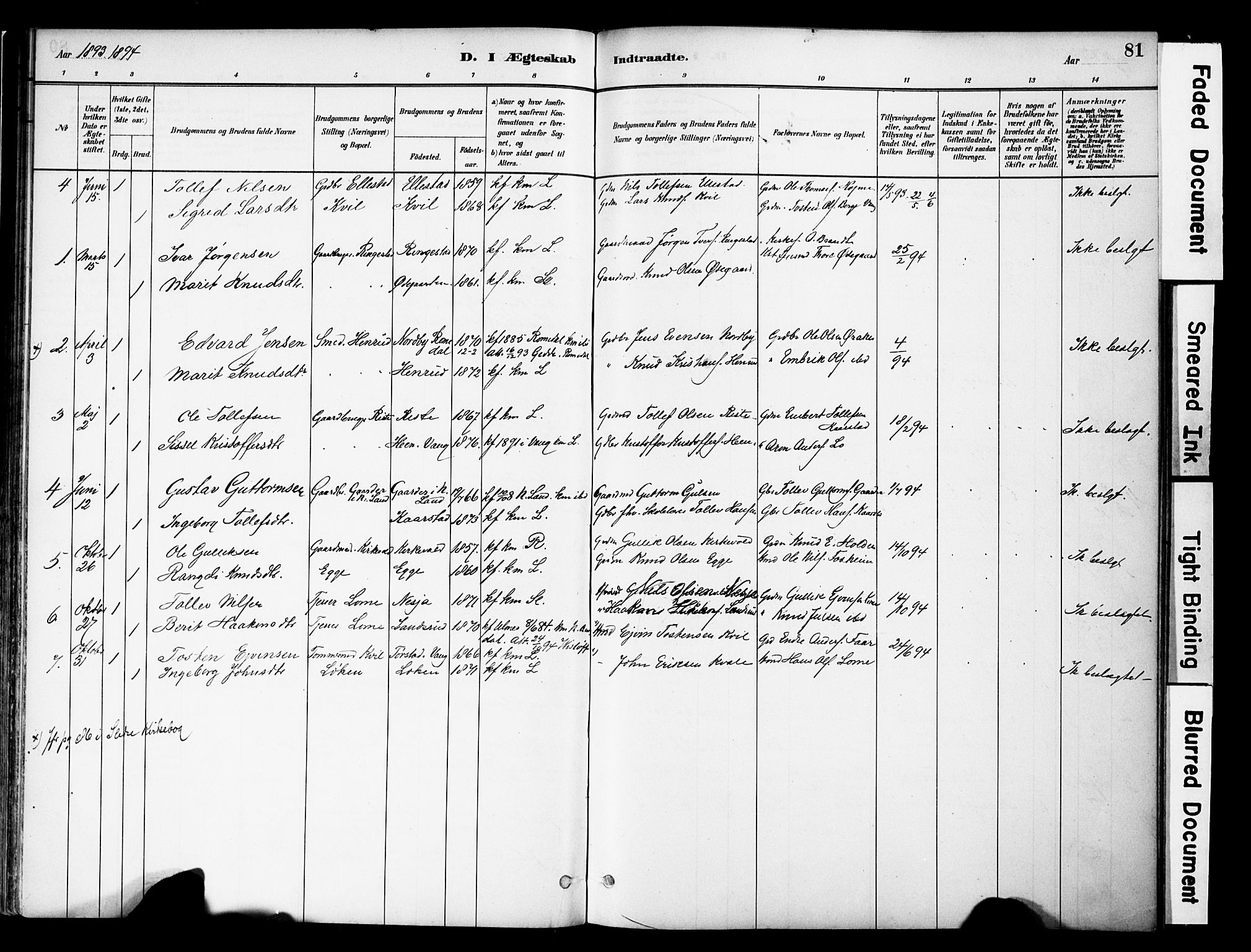 Vestre Slidre prestekontor, SAH/PREST-136/H/Ha/Haa/L0005: Parish register (official) no. 5, 1881-1912, p. 81