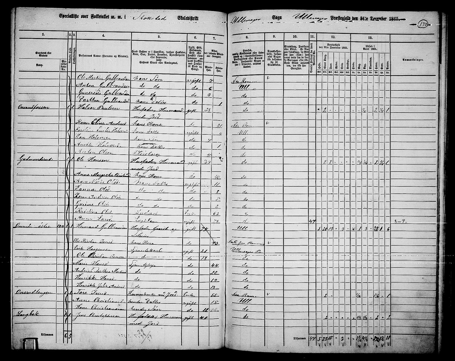 RA, 1865 census for Ullensaker, 1865, p. 146