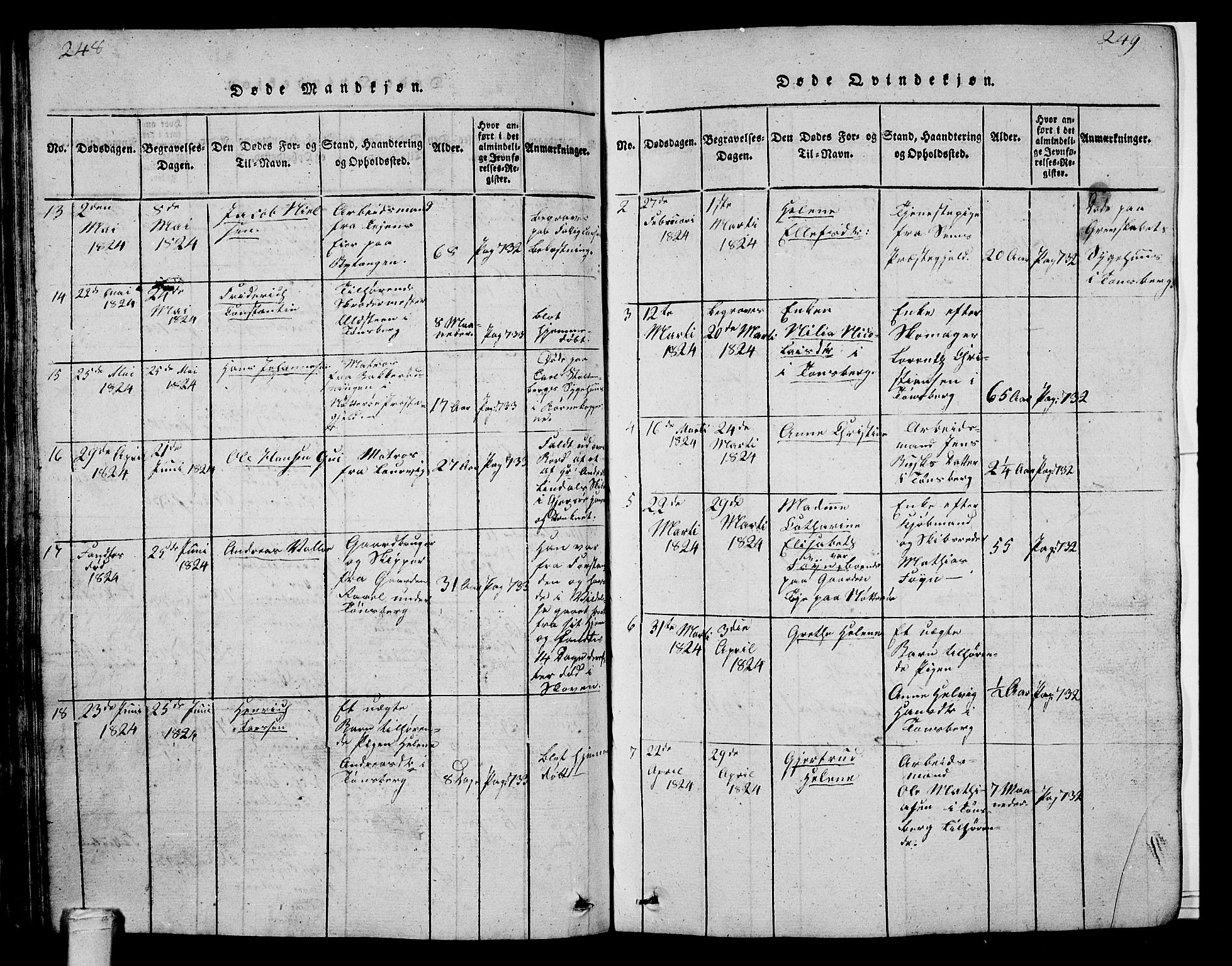 Tønsberg kirkebøker, AV/SAKO-A-330/G/Ga/L0001: Parish register (copy) no. 1, 1813-1826, p. 248-249