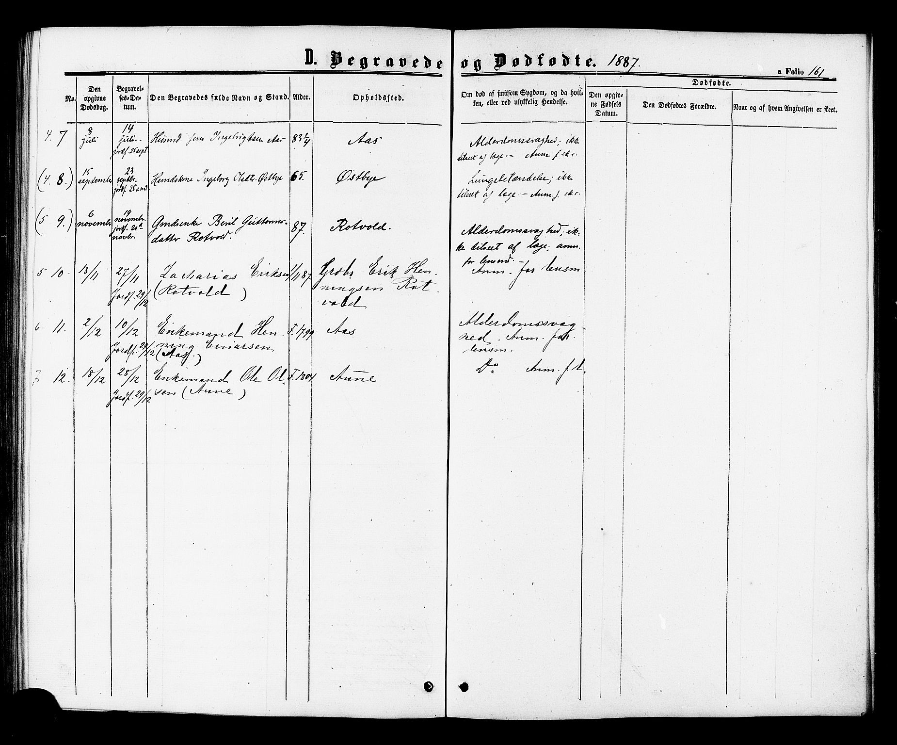 Ministerialprotokoller, klokkerbøker og fødselsregistre - Sør-Trøndelag, AV/SAT-A-1456/698/L1163: Parish register (official) no. 698A01, 1862-1887, p. 161