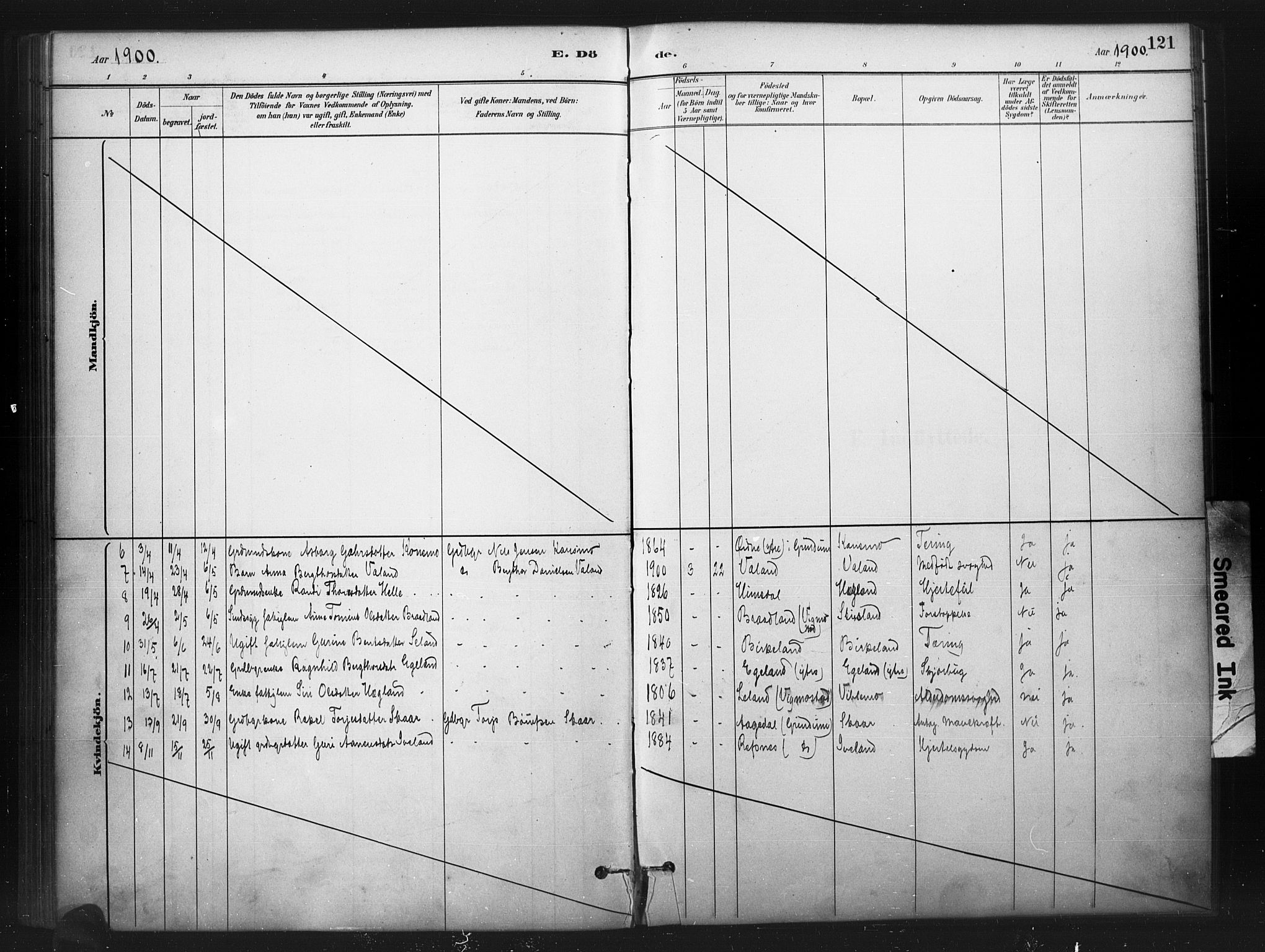 Nord-Audnedal sokneprestkontor, AV/SAK-1111-0032/F/Fa/Faa/L0003: Parish register (official) no. A 3, 1882-1900, p. 121