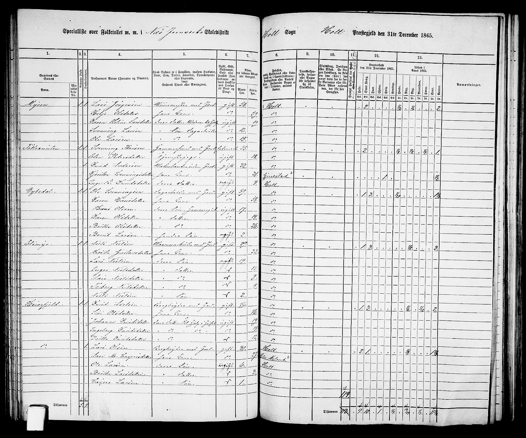 RA, 1865 census for Holt/Holt, 1865, p. 117