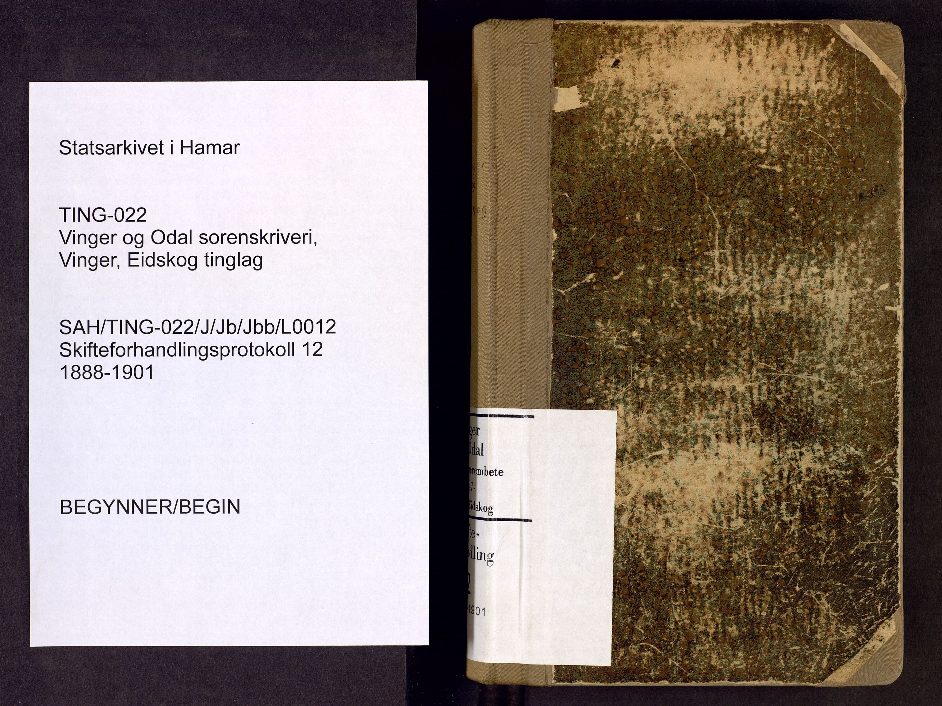 Vinger og Odal sorenskriveri, AV/SAH-TING-022/J/Jb/Jbb/L0012: Skifteforhandlingsprotokoll - Vinger og Eidskog, 1888-1901