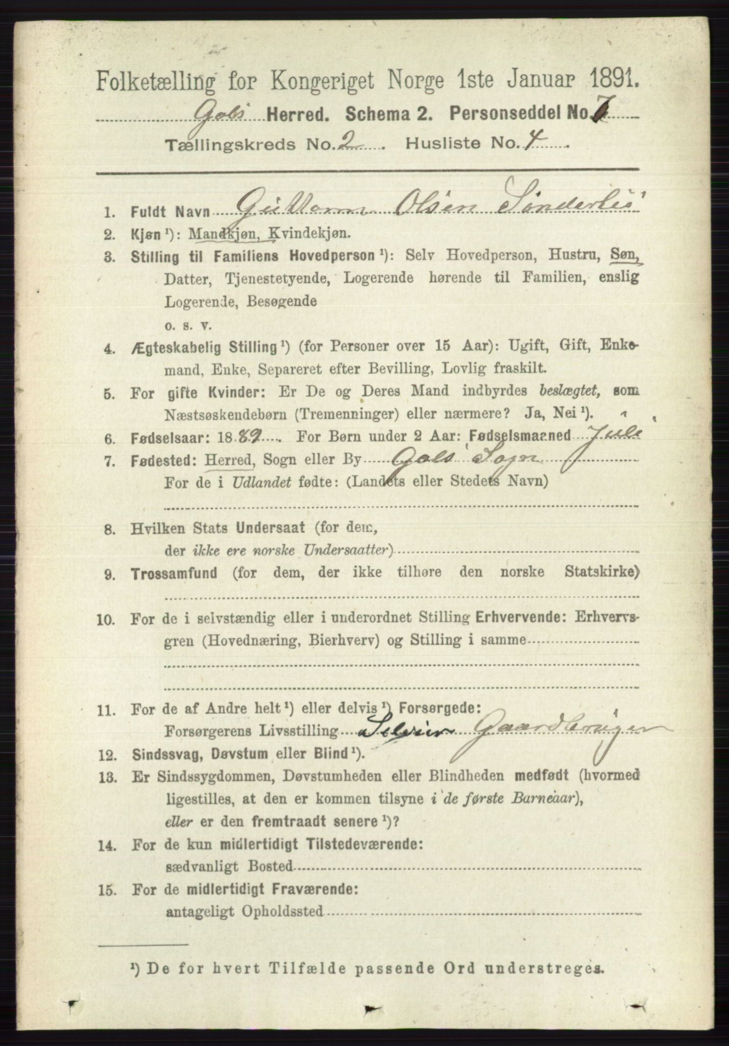 RA, 1891 census for 0617 Gol og Hemsedal, 1891, p. 735