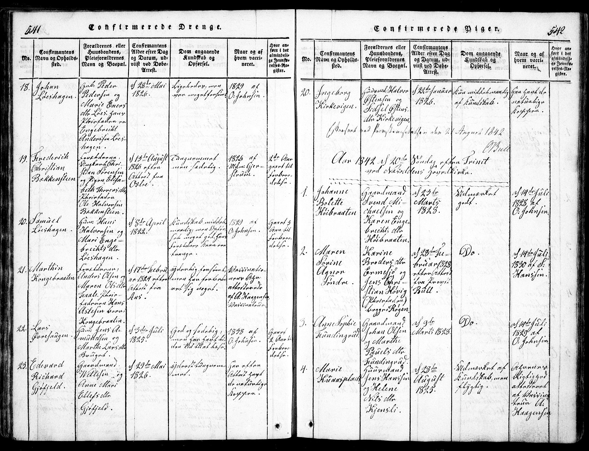 Nesodden prestekontor Kirkebøker, AV/SAO-A-10013/G/Ga/L0001: Parish register (copy) no. I 1, 1814-1847, p. 541-542