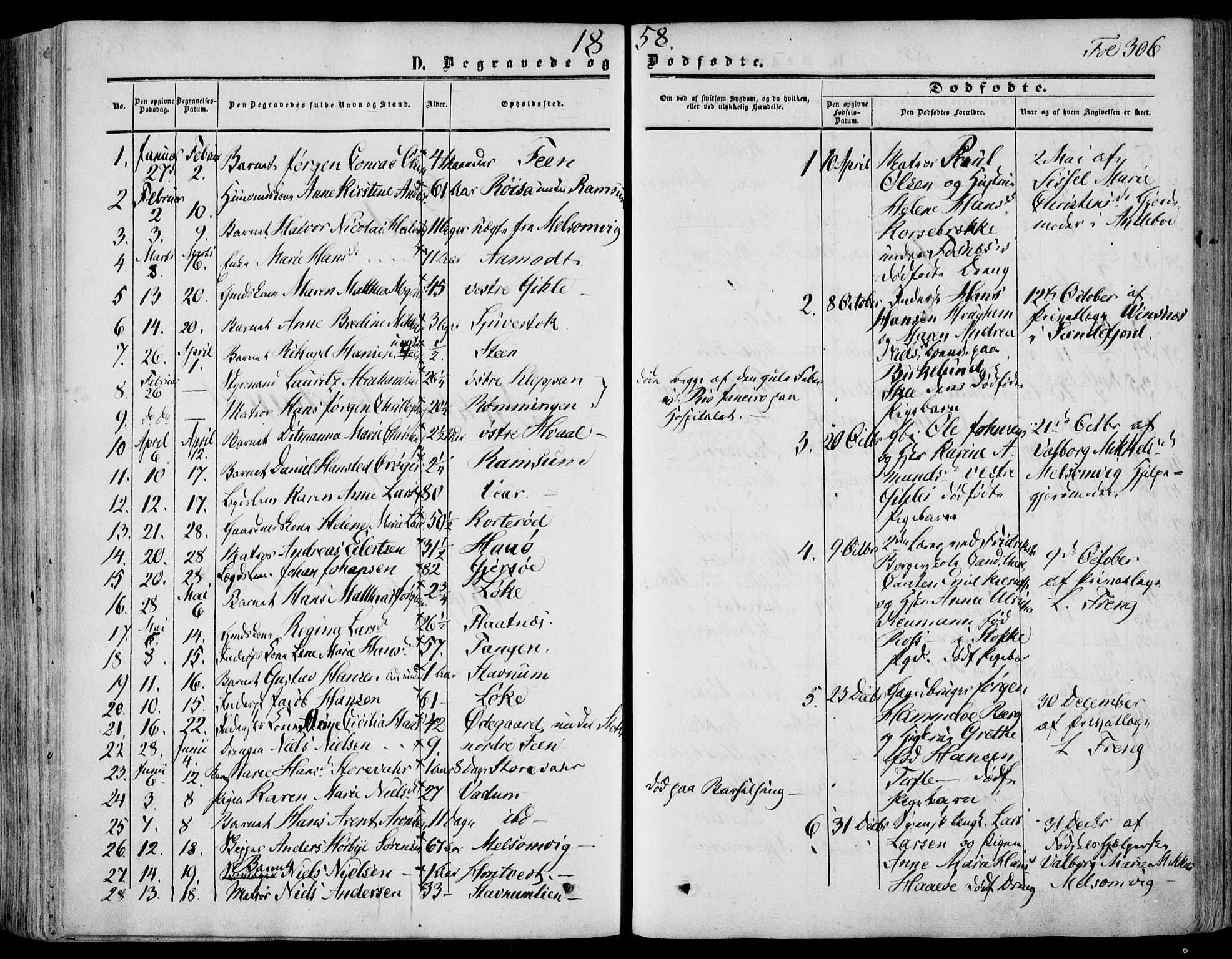 Stokke kirkebøker, SAKO/A-320/F/Fa/L0008: Parish register (official) no. I 8, 1858-1871, p. 306