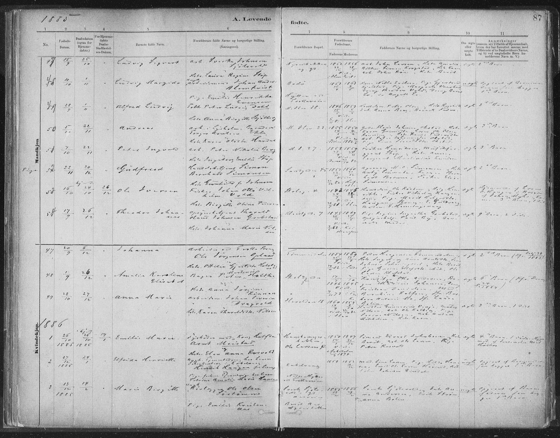 Ministerialprotokoller, klokkerbøker og fødselsregistre - Sør-Trøndelag, SAT/A-1456/603/L0162: Parish register (official) no. 603A01, 1879-1895, p. 87