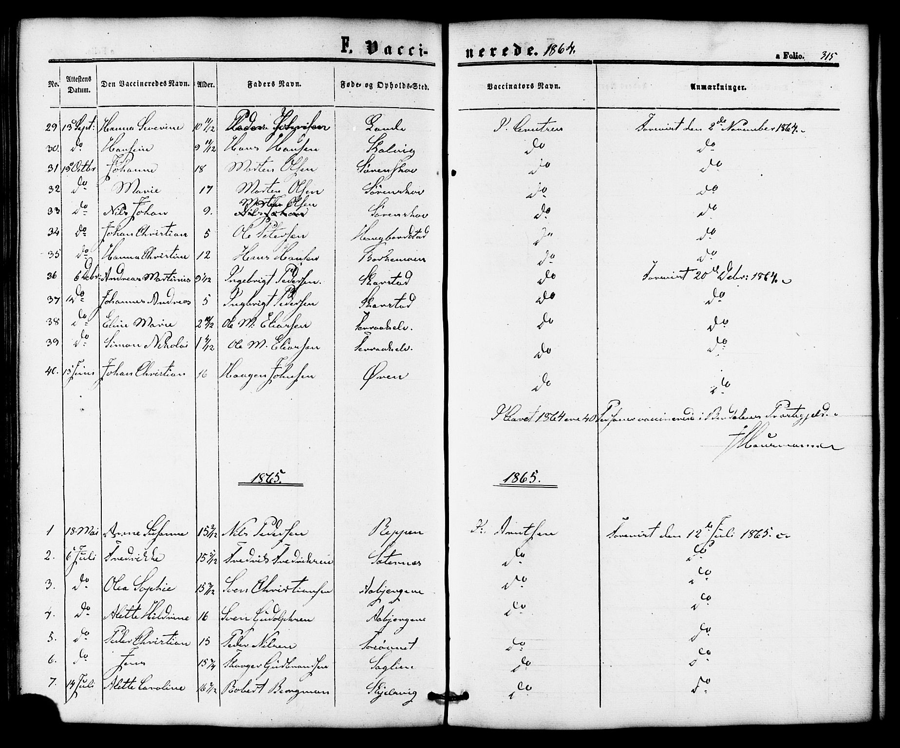 Ministerialprotokoller, klokkerbøker og fødselsregistre - Nordland, AV/SAT-A-1459/810/L0146: Parish register (official) no. 810A08 /1, 1862-1874, p. 315