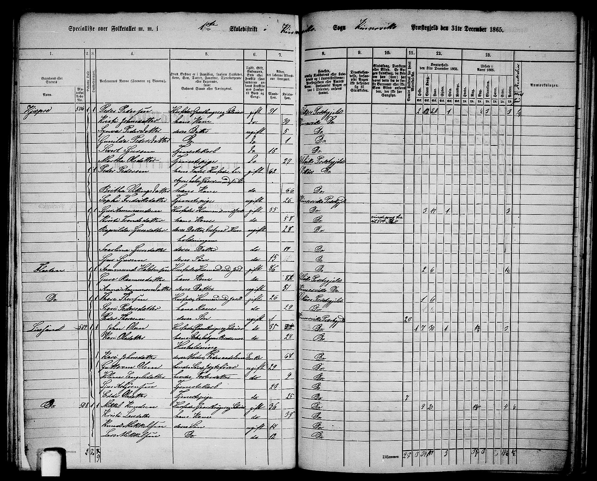 RA, 1865 census for Kinsarvik, 1865, p. 217