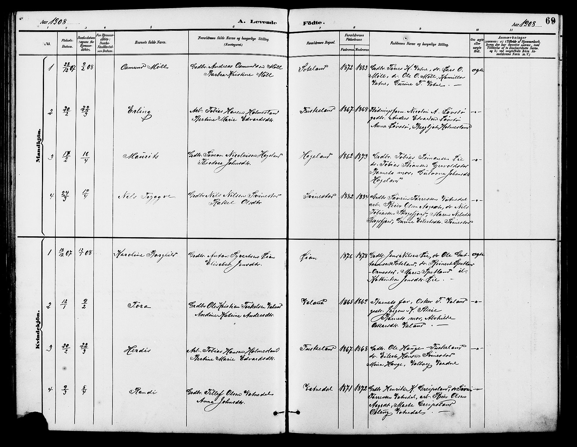 Holum sokneprestkontor, SAK/1111-0022/F/Fb/Fba/L0005: Parish register (copy) no. B 5, 1891-1909, p. 69