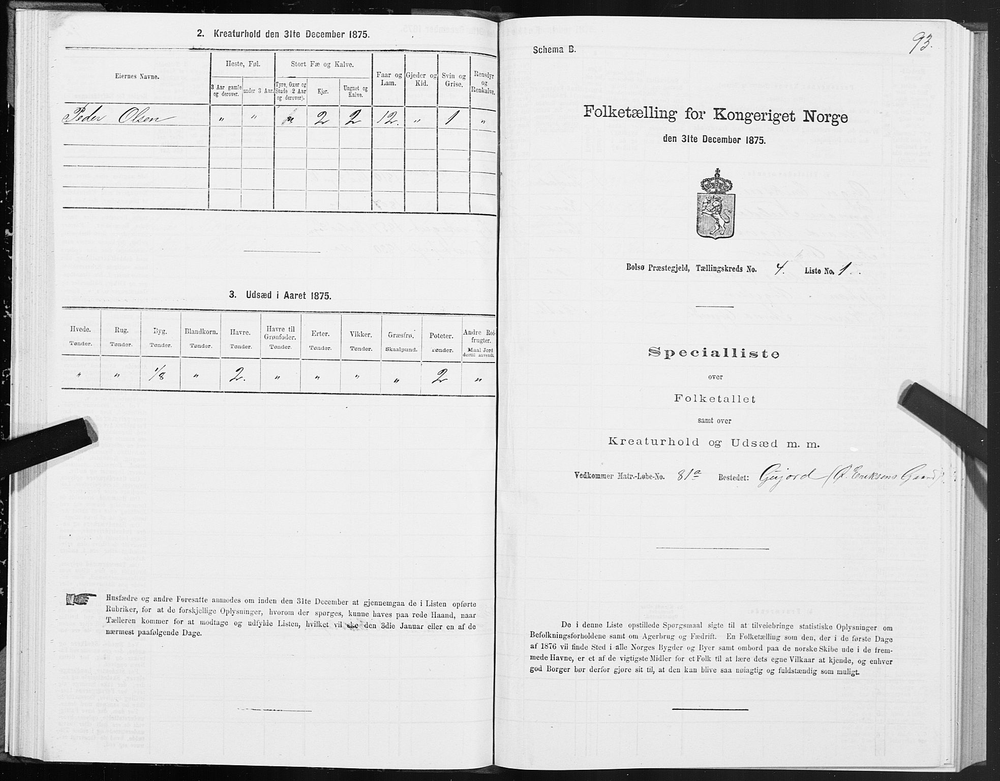 SAT, 1875 census for 1544P Bolsøy, 1875, p. 3093