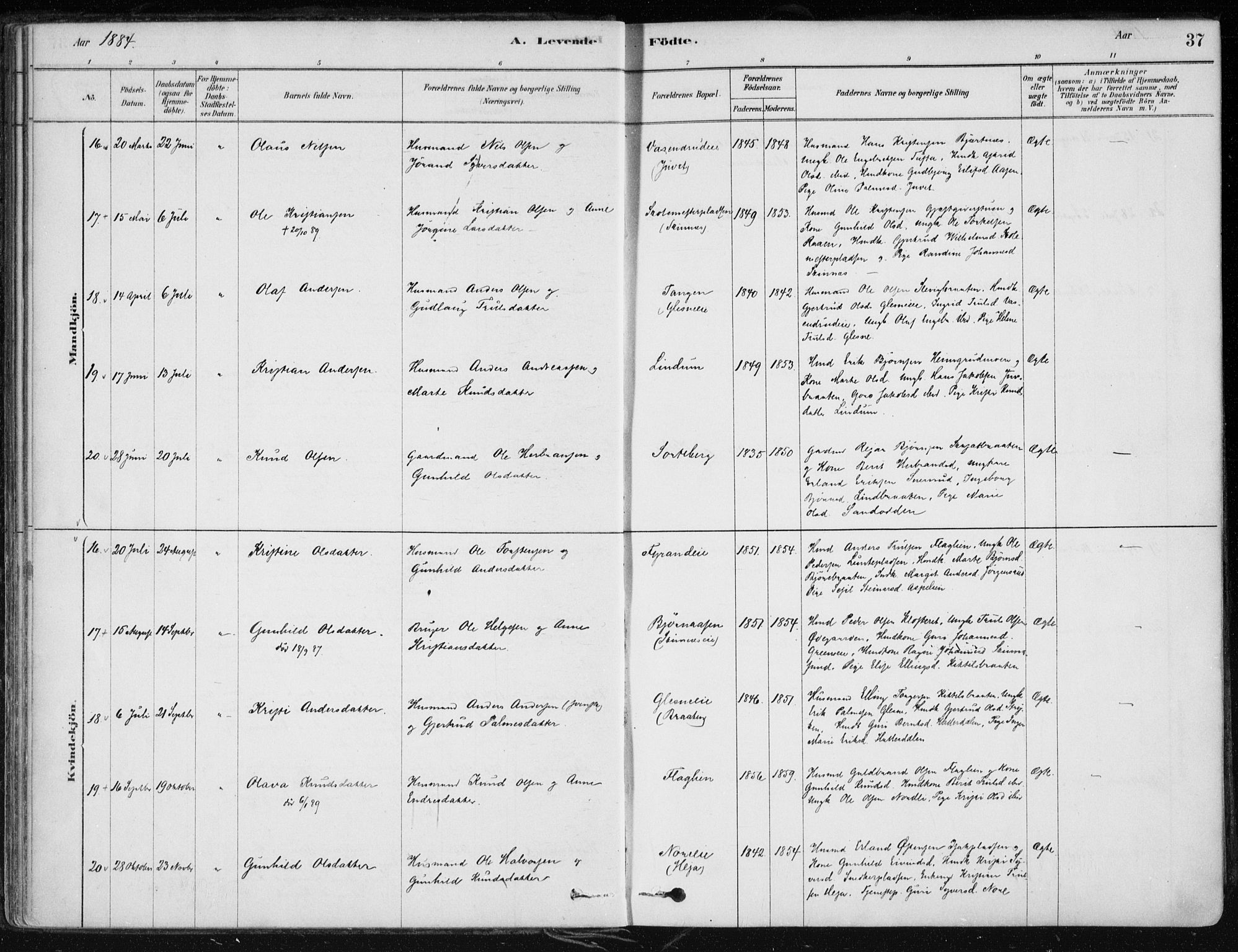 Krødsherad kirkebøker, SAKO/A-19/F/Fa/L0005: Parish register (official) no. 5, 1879-1888, p. 37
