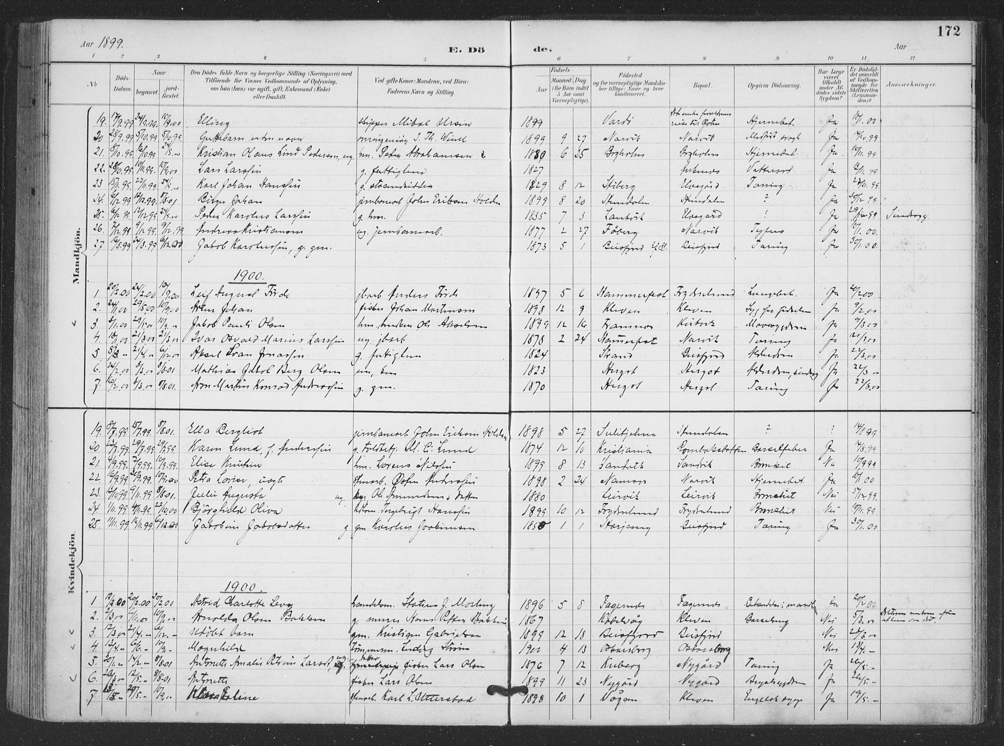 Ministerialprotokoller, klokkerbøker og fødselsregistre - Nordland, AV/SAT-A-1459/866/L0939: Parish register (official) no. 866A02, 1894-1906, p. 172