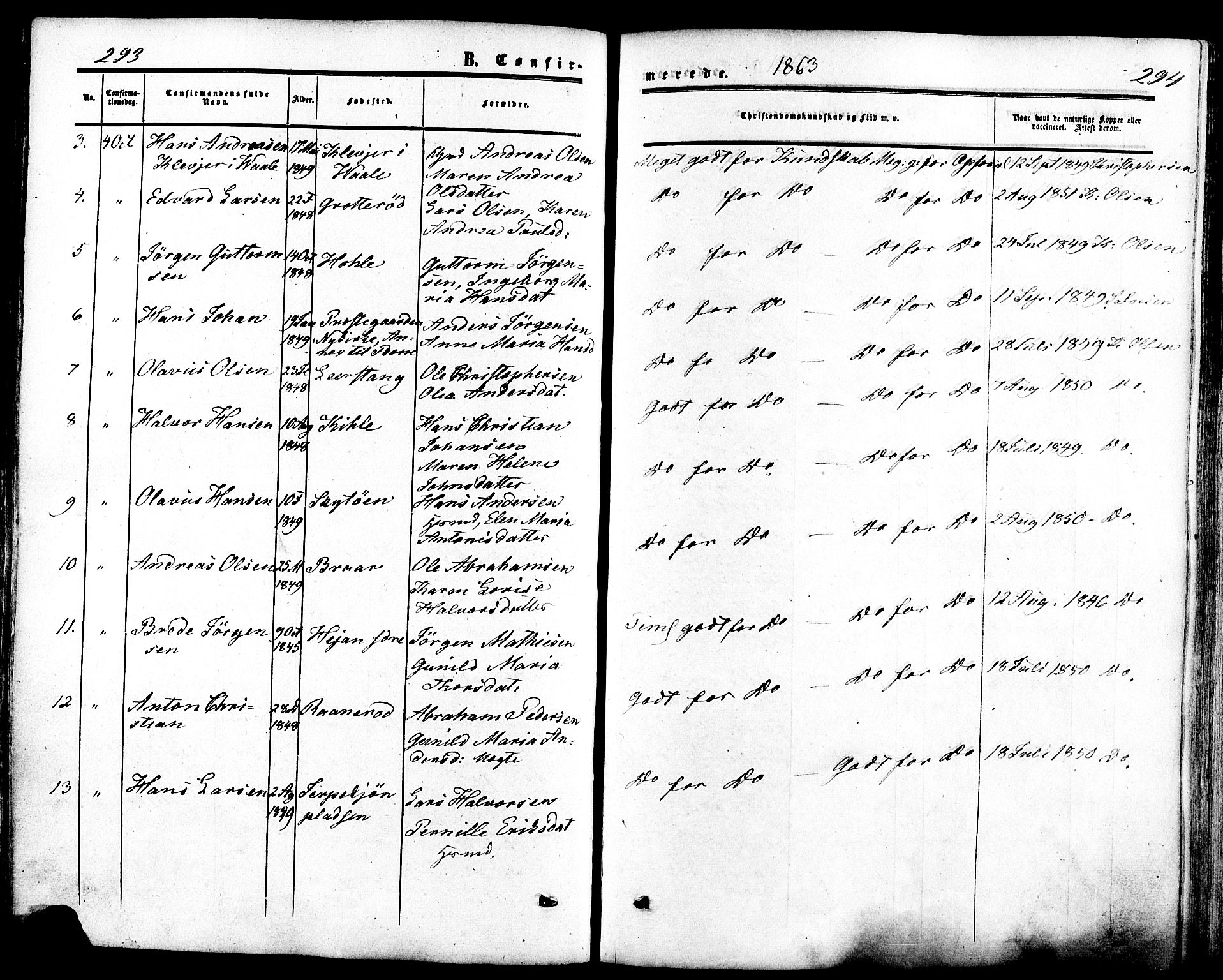 Ramnes kirkebøker, AV/SAKO-A-314/F/Fa/L0006: Parish register (official) no. I 6, 1862-1877, p. 293-294