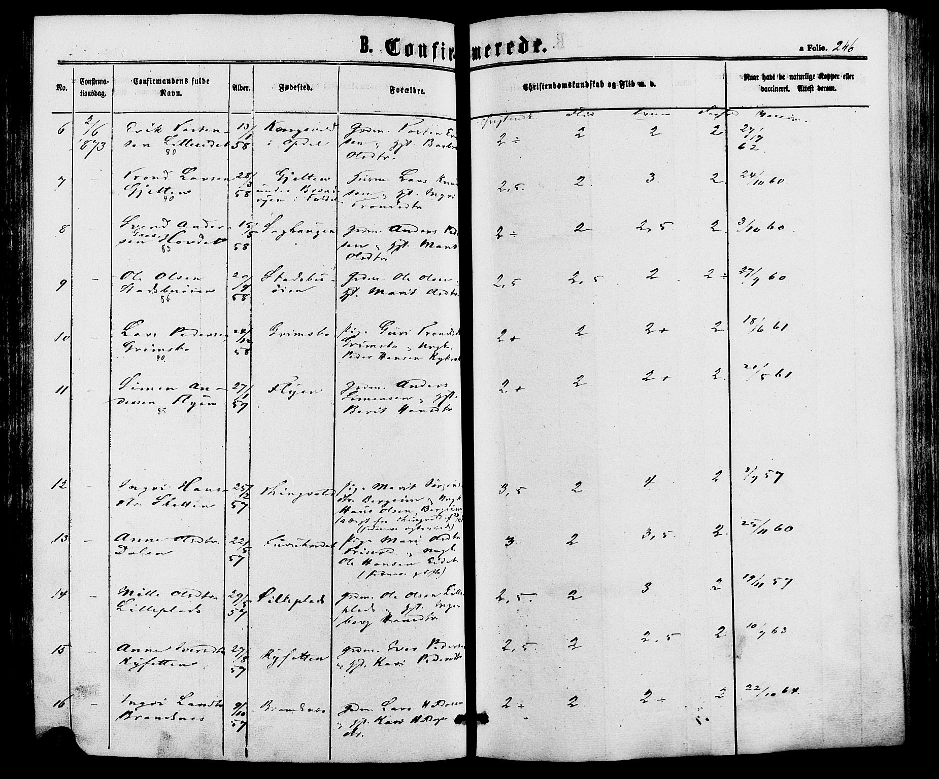 Alvdal prestekontor, SAH/PREST-060/H/Ha/Haa/L0001: Parish register (official) no. 1, 1863-1882, p. 246