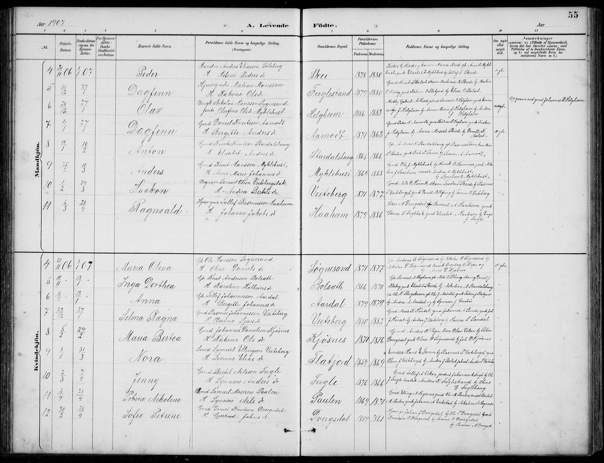 Jølster sokneprestembete, SAB/A-80701/H/Hab/Habb/L0002: Parish register (copy) no. B 2, 1887-1920, p. 55
