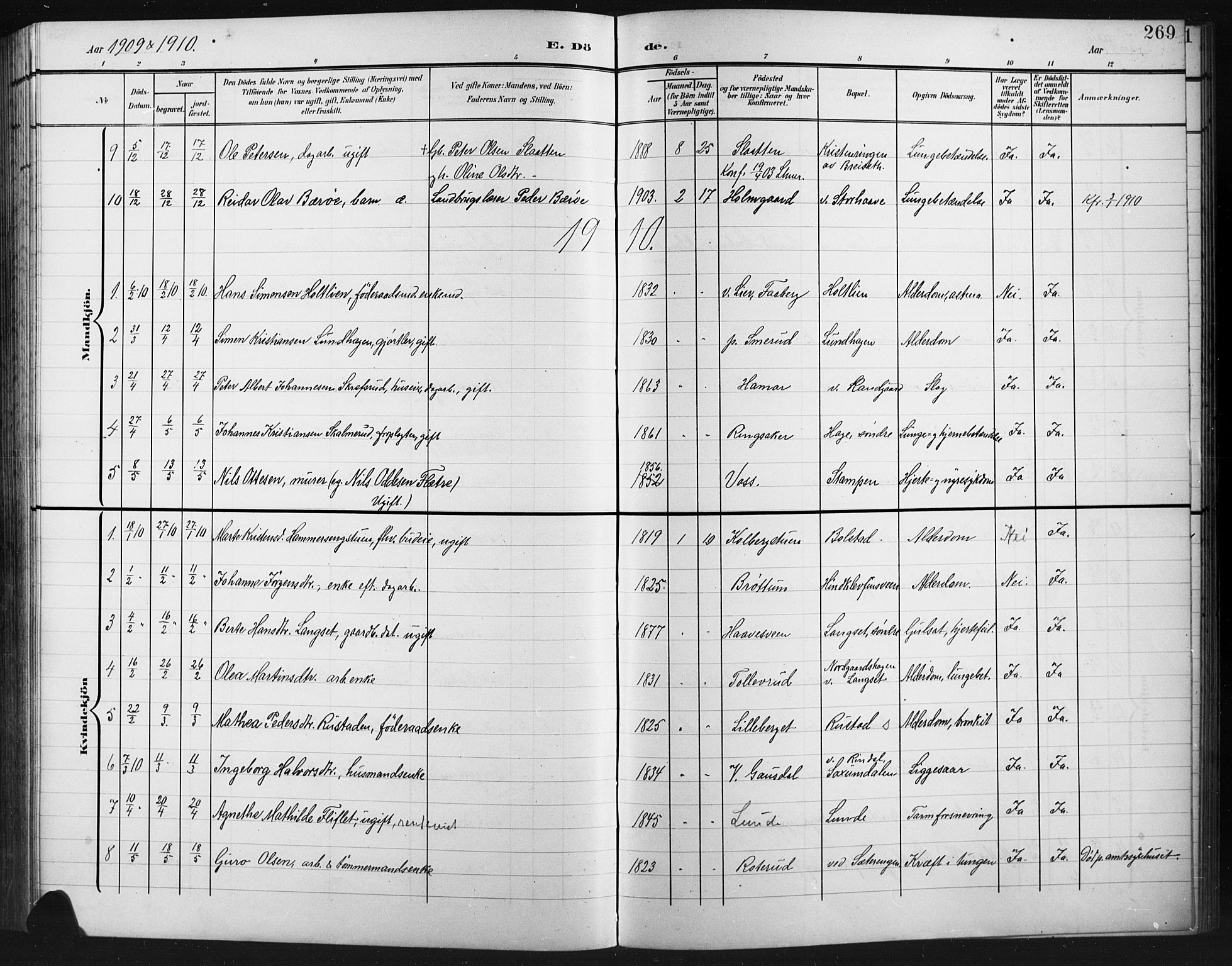 Fåberg prestekontor, AV/SAH-PREST-086/H/Ha/Hab/L0012: Parish register (copy) no. 12, 1903-1924, p. 269