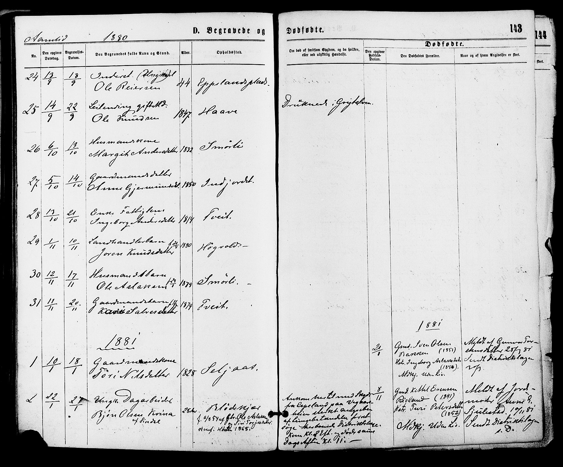 Åmli sokneprestkontor, AV/SAK-1111-0050/F/Fa/Fac/L0009: Parish register (official) no. A 9 /1, 1869-1884, p. 143