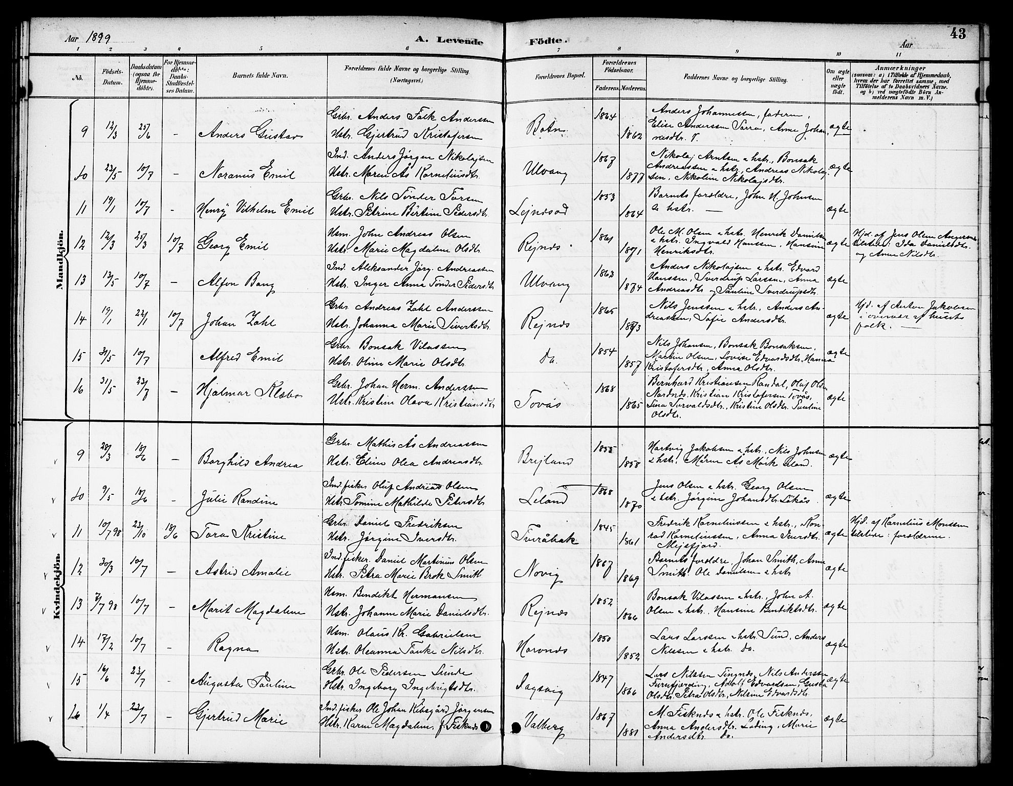 Ministerialprotokoller, klokkerbøker og fødselsregistre - Nordland, AV/SAT-A-1459/831/L0478: Parish register (copy) no. 831C05, 1892-1909, p. 43