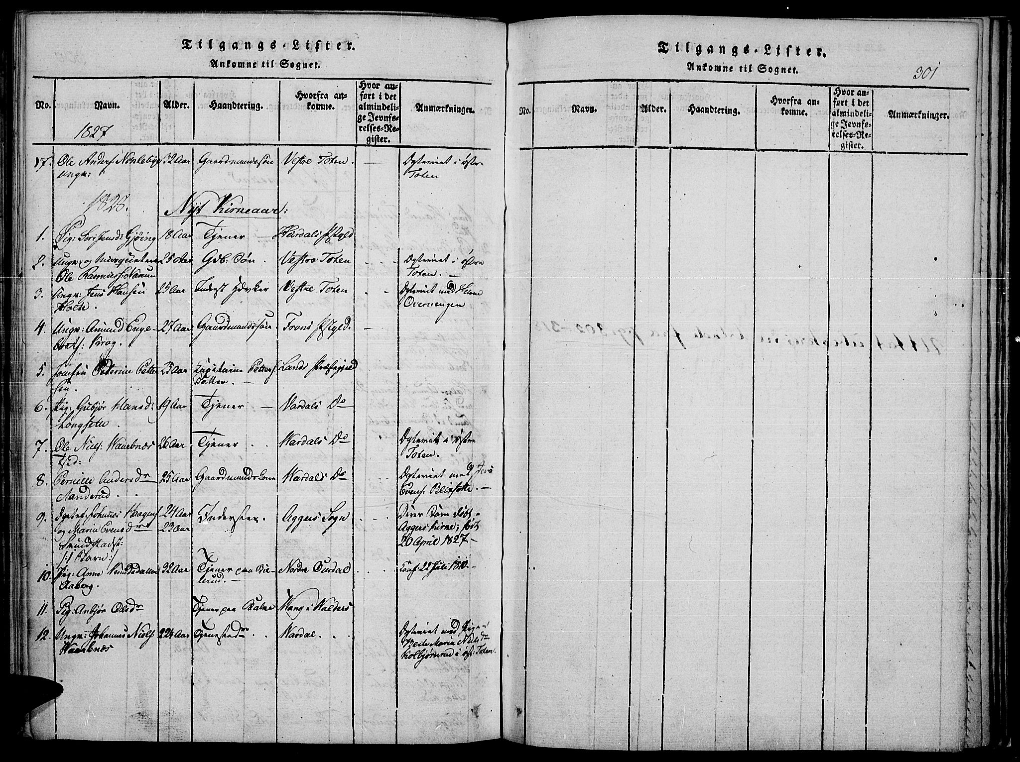 Toten prestekontor, SAH/PREST-102/H/Ha/Haa/L0010: Parish register (official) no. 10, 1820-1828, p. 301