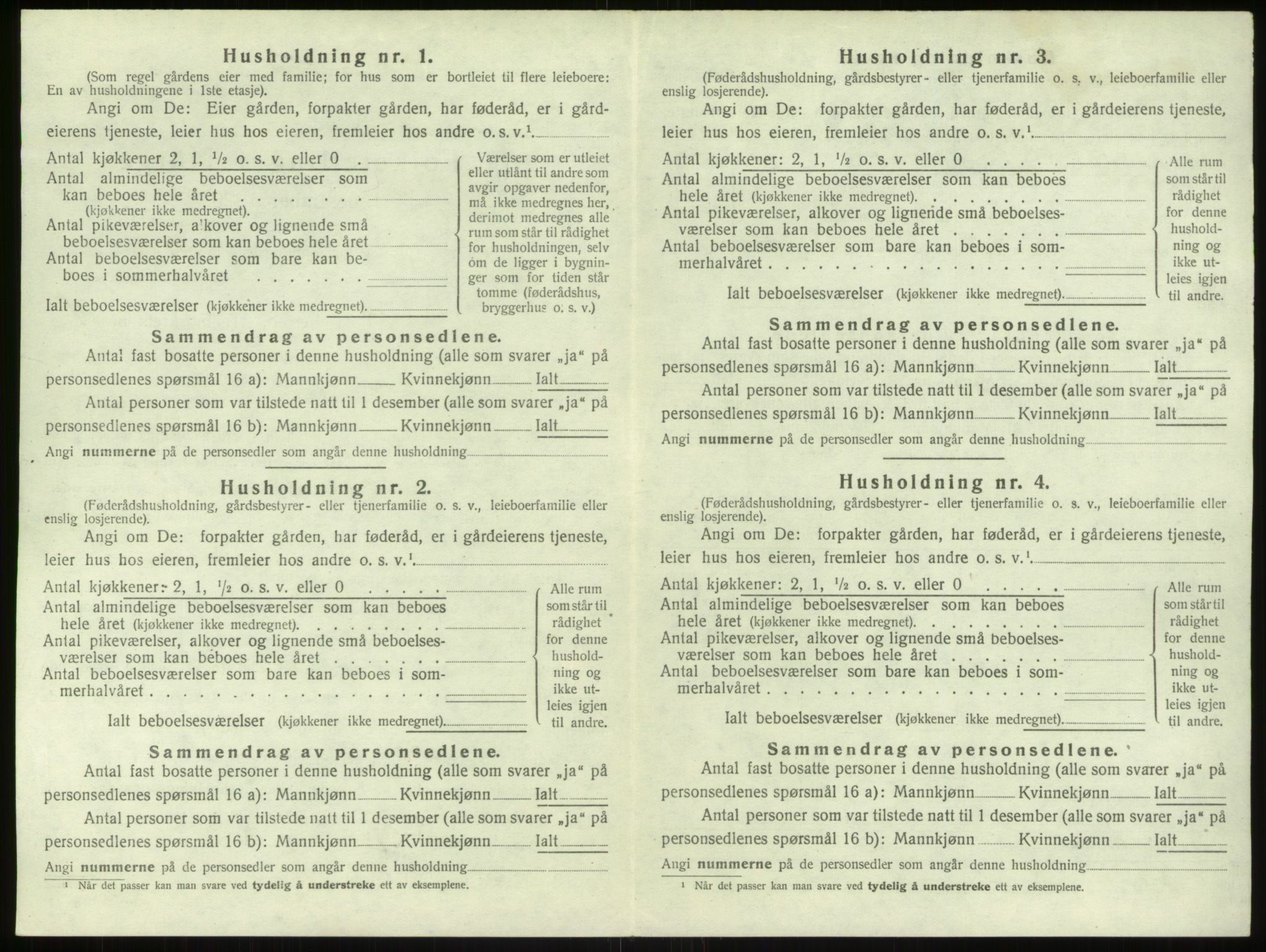 SAB, 1920 census for Bruvik, 1920, p. 1017