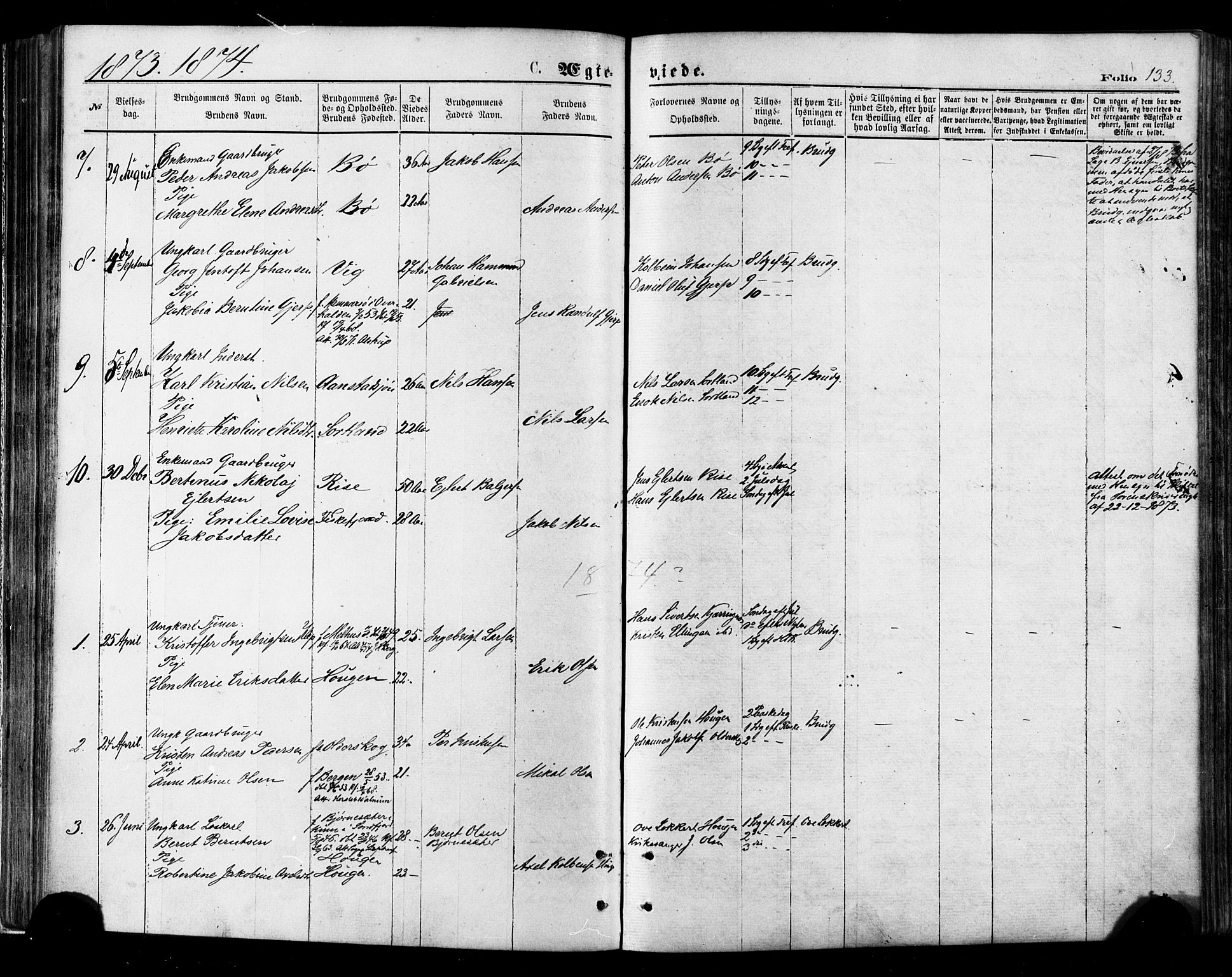 Ministerialprotokoller, klokkerbøker og fødselsregistre - Nordland, AV/SAT-A-1459/895/L1370: Parish register (official) no. 895A05, 1873-1884, p. 133