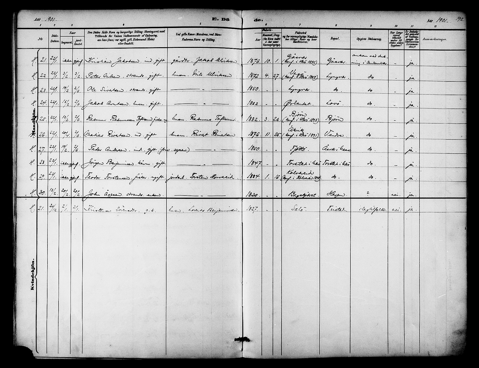 Ministerialprotokoller, klokkerbøker og fødselsregistre - Nordland, AV/SAT-A-1459/834/L0508: Parish register (official) no. 834A06, 1892-1901, p. 192