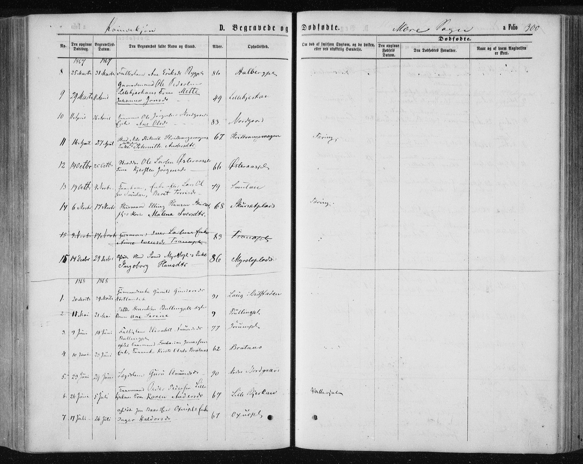 Ministerialprotokoller, klokkerbøker og fødselsregistre - Nord-Trøndelag, SAT/A-1458/735/L0345: Parish register (official) no. 735A08 /1, 1863-1872, p. 300