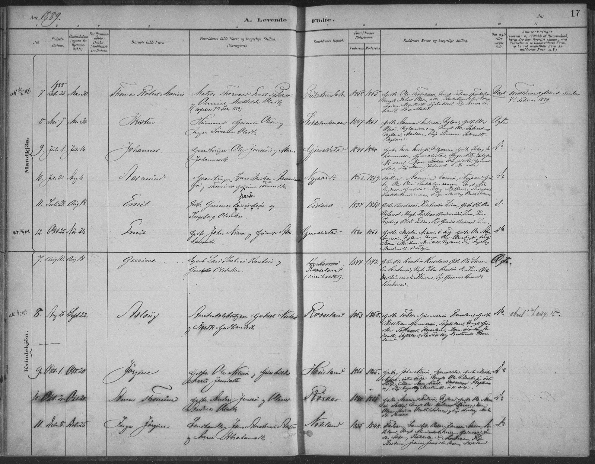 Søgne sokneprestkontor, AV/SAK-1111-0037/F/Fa/Faa/L0003: Parish register (official) no. A 3, 1883-1910, p. 17