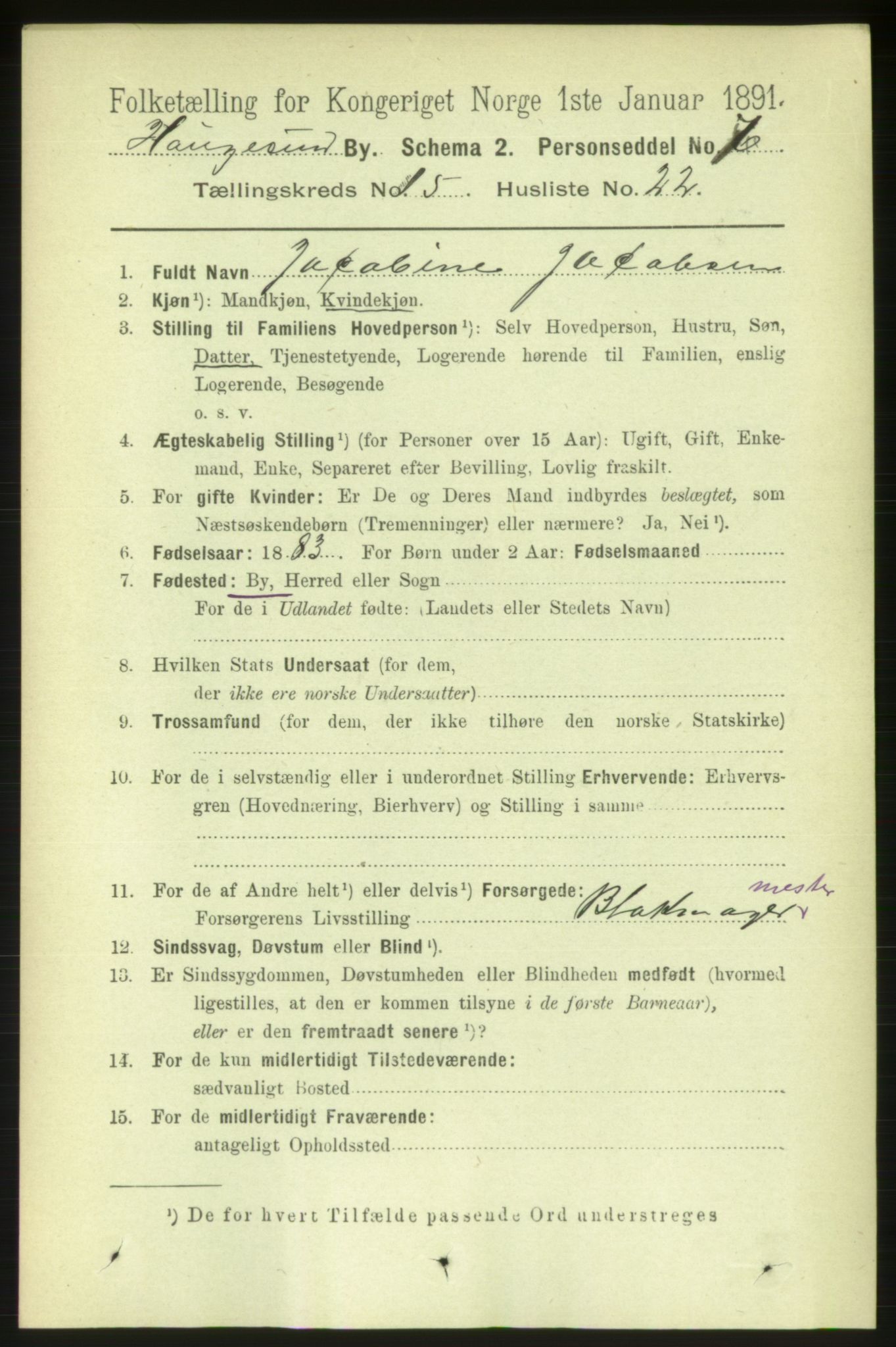 RA, 1891 census for 1106 Haugesund, 1891, p. 5144