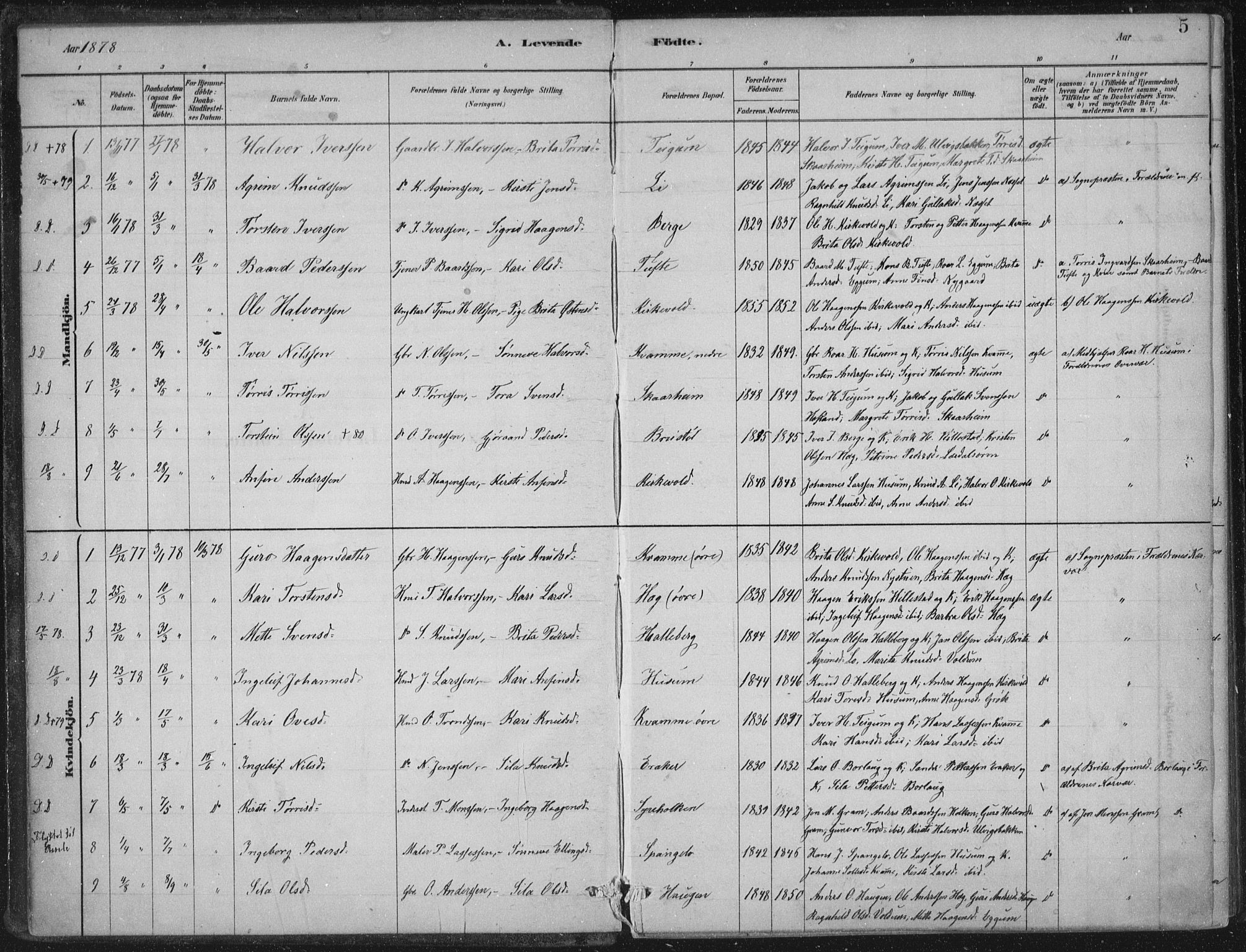 Lærdal sokneprestembete, SAB/A-81201: Parish register (official) no. C  1, 1878-1911, p. 5