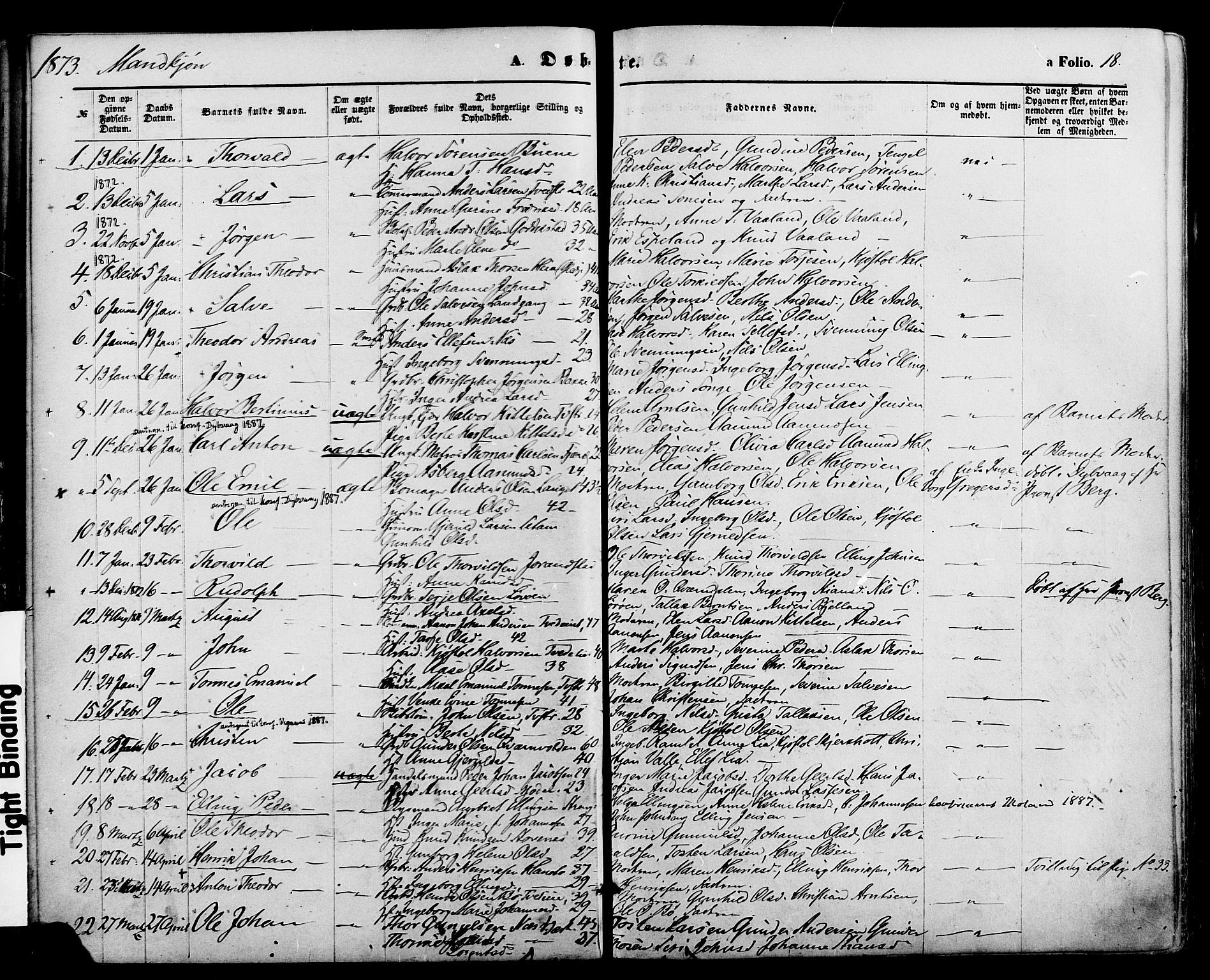 Holt sokneprestkontor, AV/SAK-1111-0021/F/Fa/L0010: Parish register (official) no. A 10, 1872-1885, p. 18