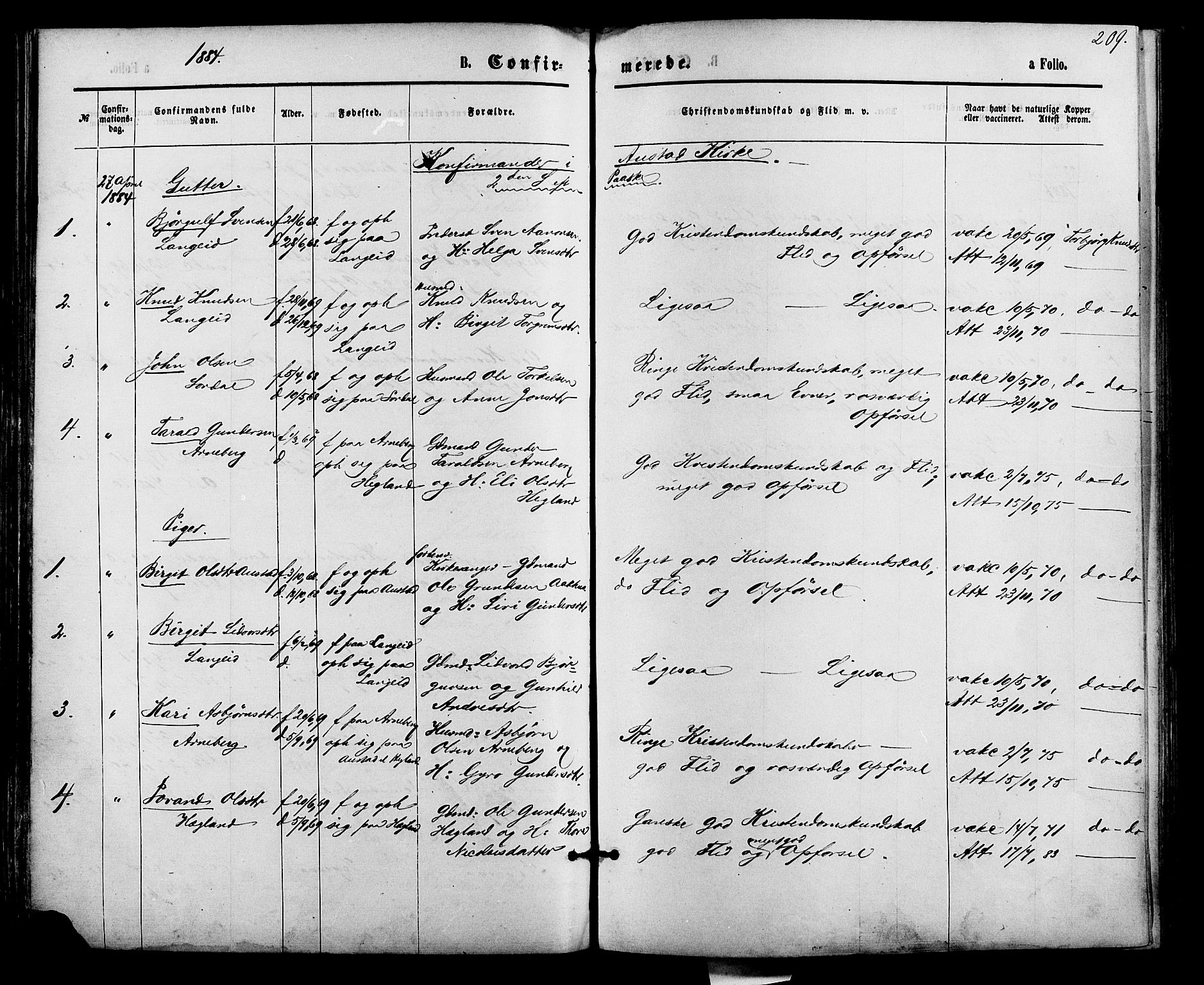 Bygland sokneprestkontor, AV/SAK-1111-0006/F/Fa/Fab/L0006: Parish register (official) no. A 6, 1873-1884, p. 209