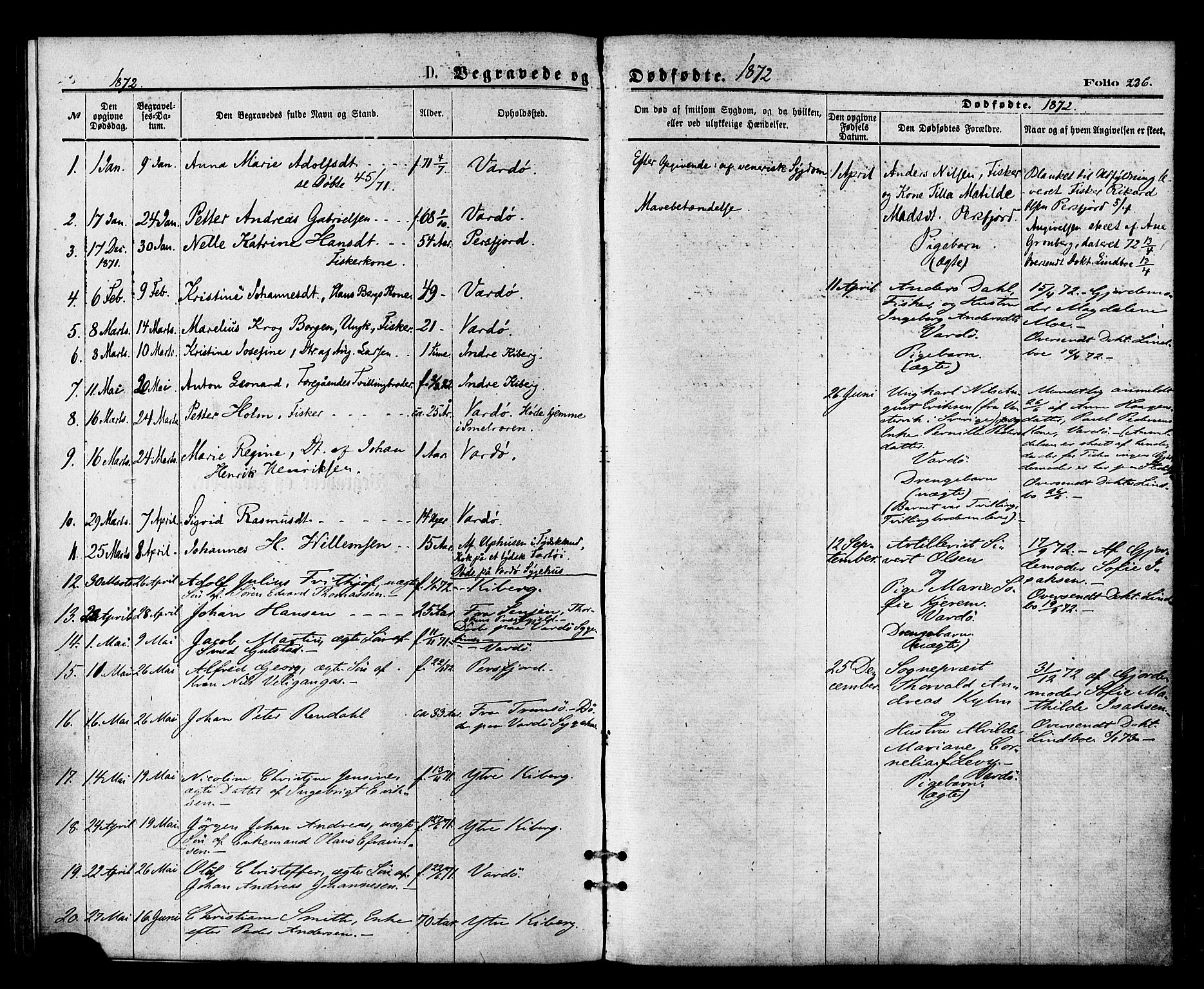 Vardø sokneprestkontor, SATØ/S-1332/H/Ha/L0005kirke: Parish register (official) no. 5, 1872-1878, p. 236