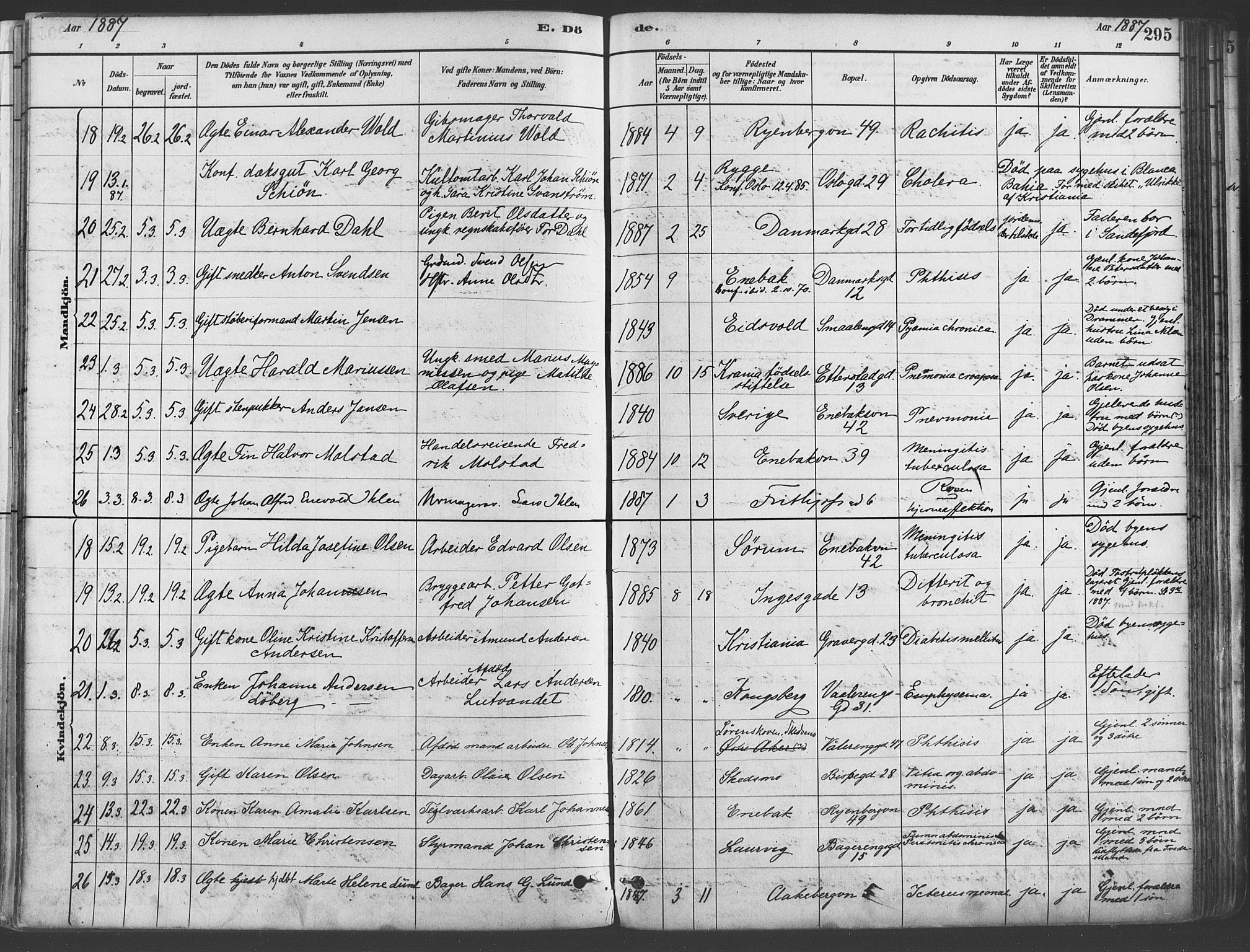Gamlebyen prestekontor Kirkebøker, SAO/A-10884/F/Fa/L0006: Parish register (official) no. 6, 1881-1890, p. 295
