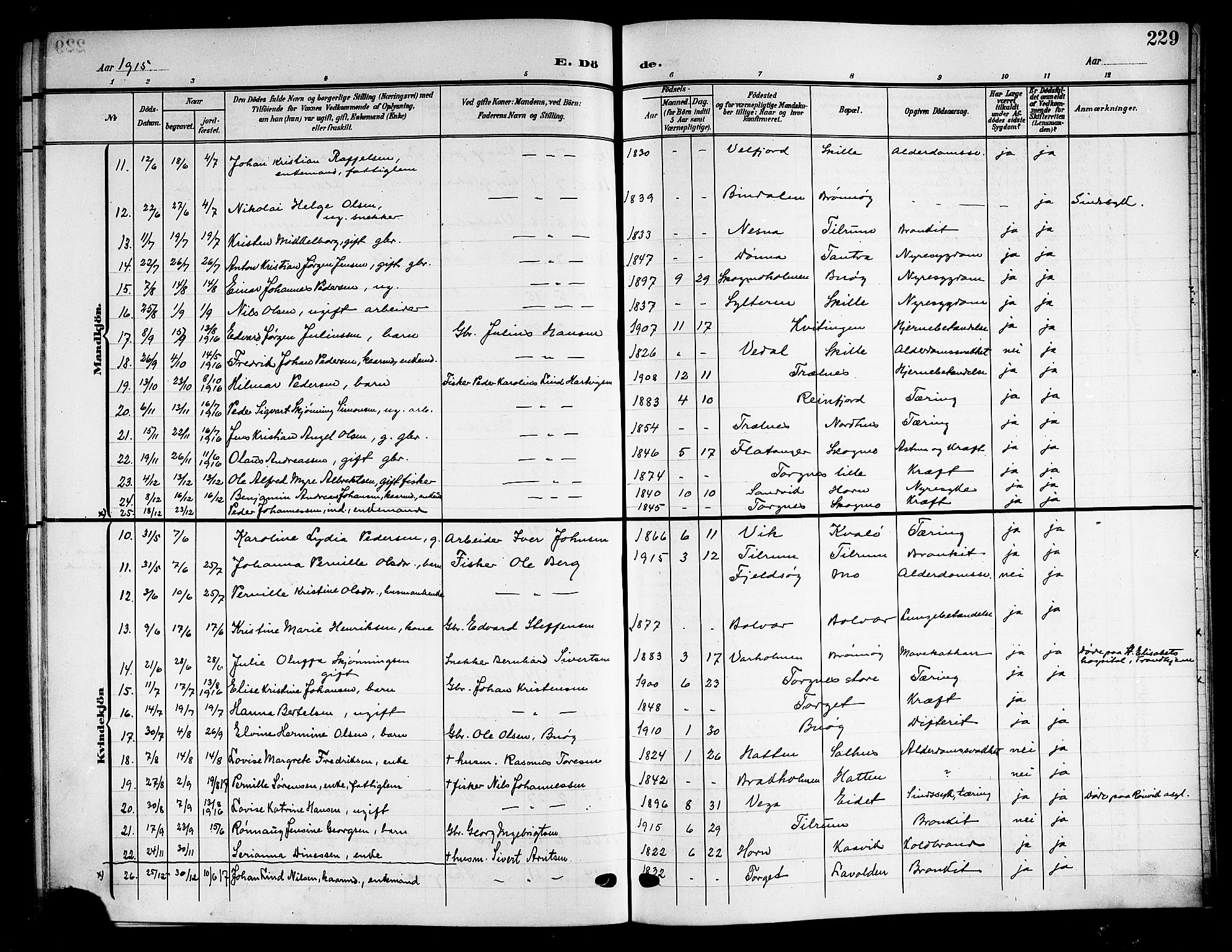 Ministerialprotokoller, klokkerbøker og fødselsregistre - Nordland, SAT/A-1459/813/L0214: Parish register (copy) no. 813C06, 1904-1917, p. 229