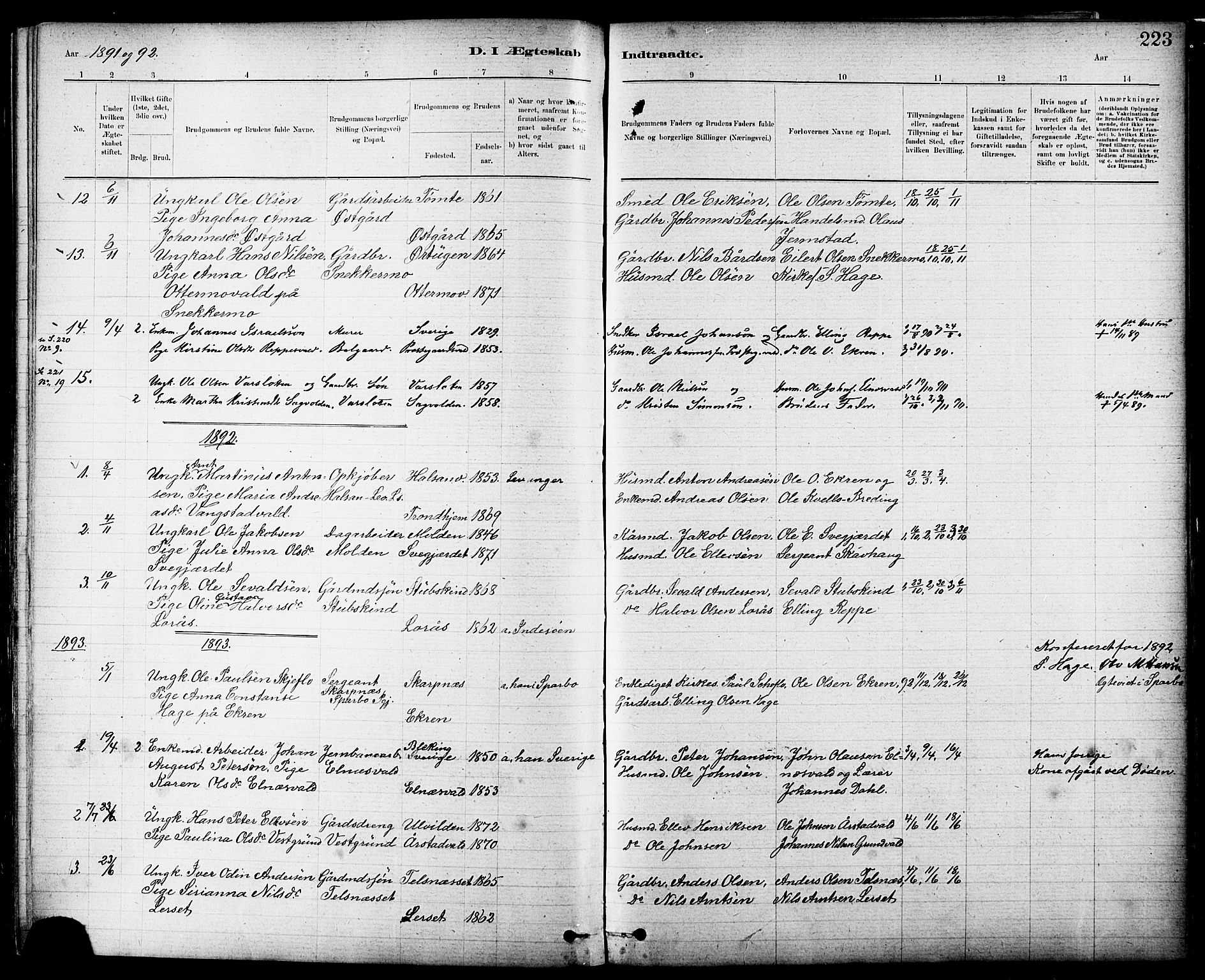 Ministerialprotokoller, klokkerbøker og fødselsregistre - Nord-Trøndelag, SAT/A-1458/724/L0267: Parish register (copy) no. 724C03, 1879-1898, p. 223