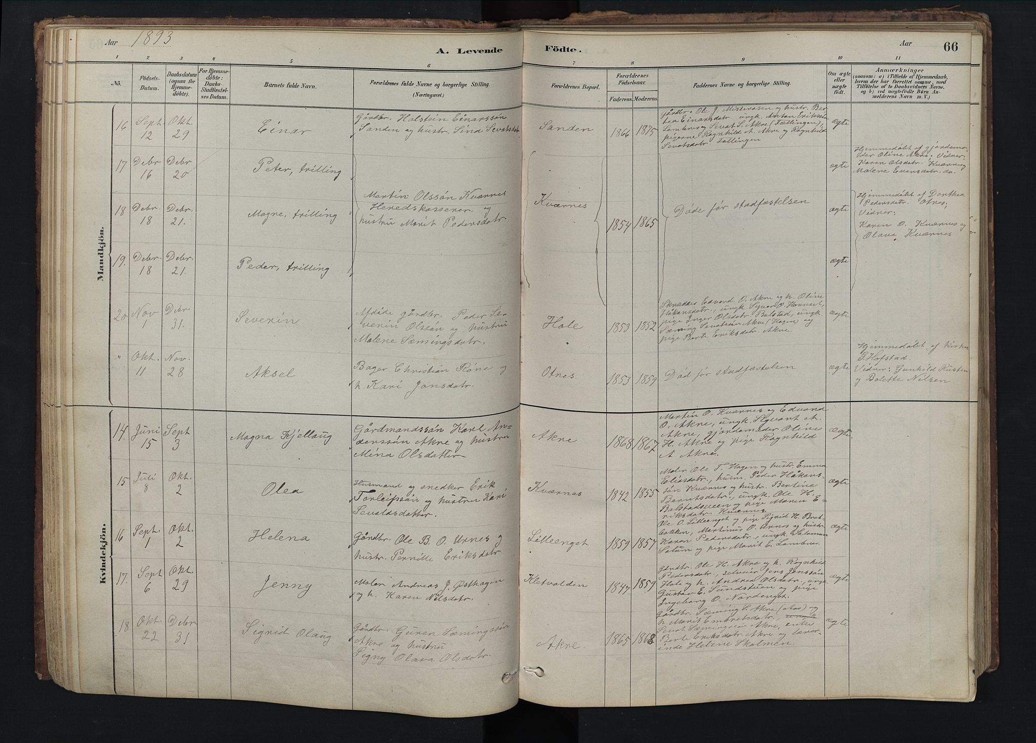 Rendalen prestekontor, SAH/PREST-054/H/Ha/Hab/L0009: Parish register (copy) no. 9, 1879-1902, p. 66