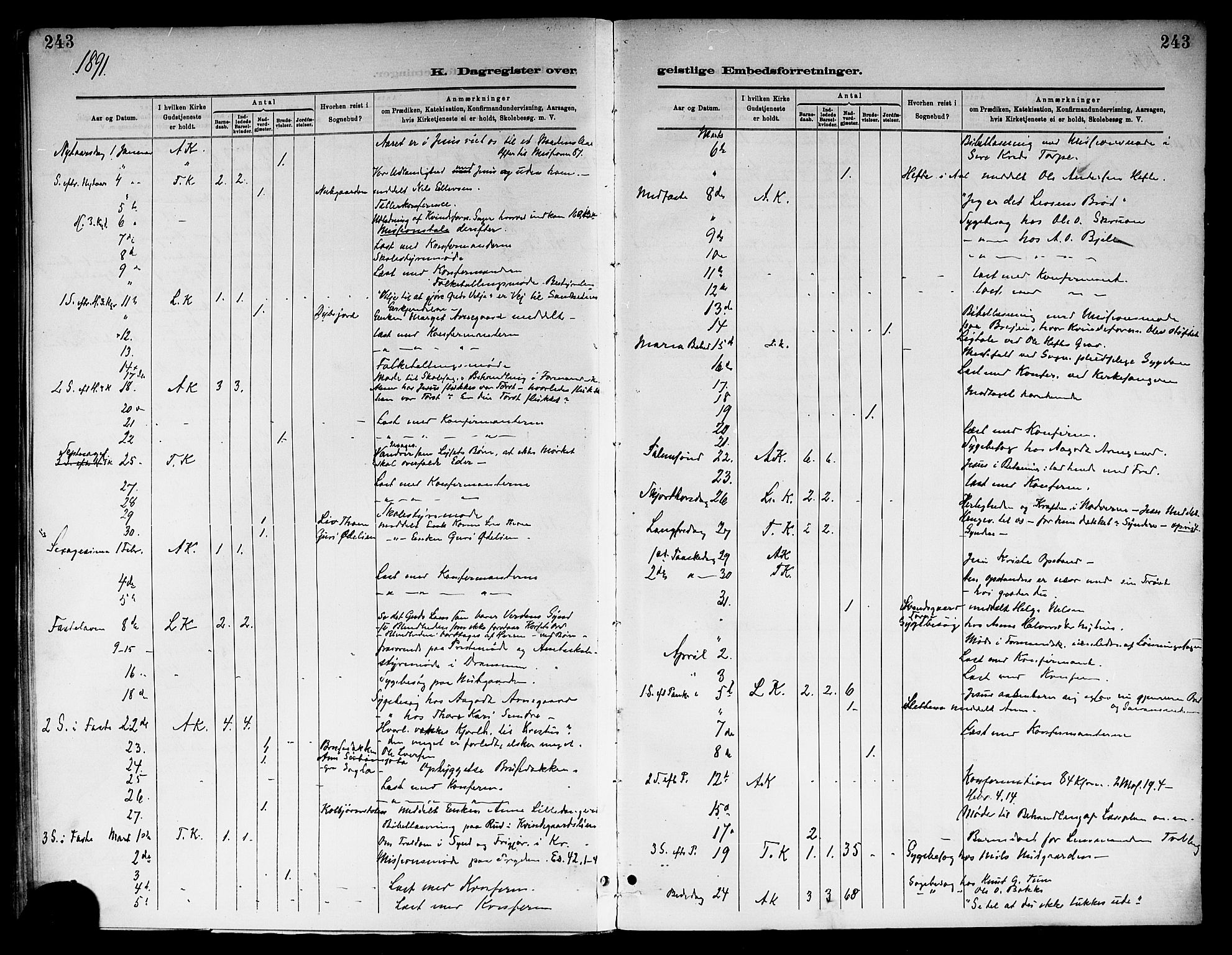 Ål kirkebøker, AV/SAKO-A-249/F/Fa/L0008: Parish register (official) no. I 8, 1882-1896, p. 243