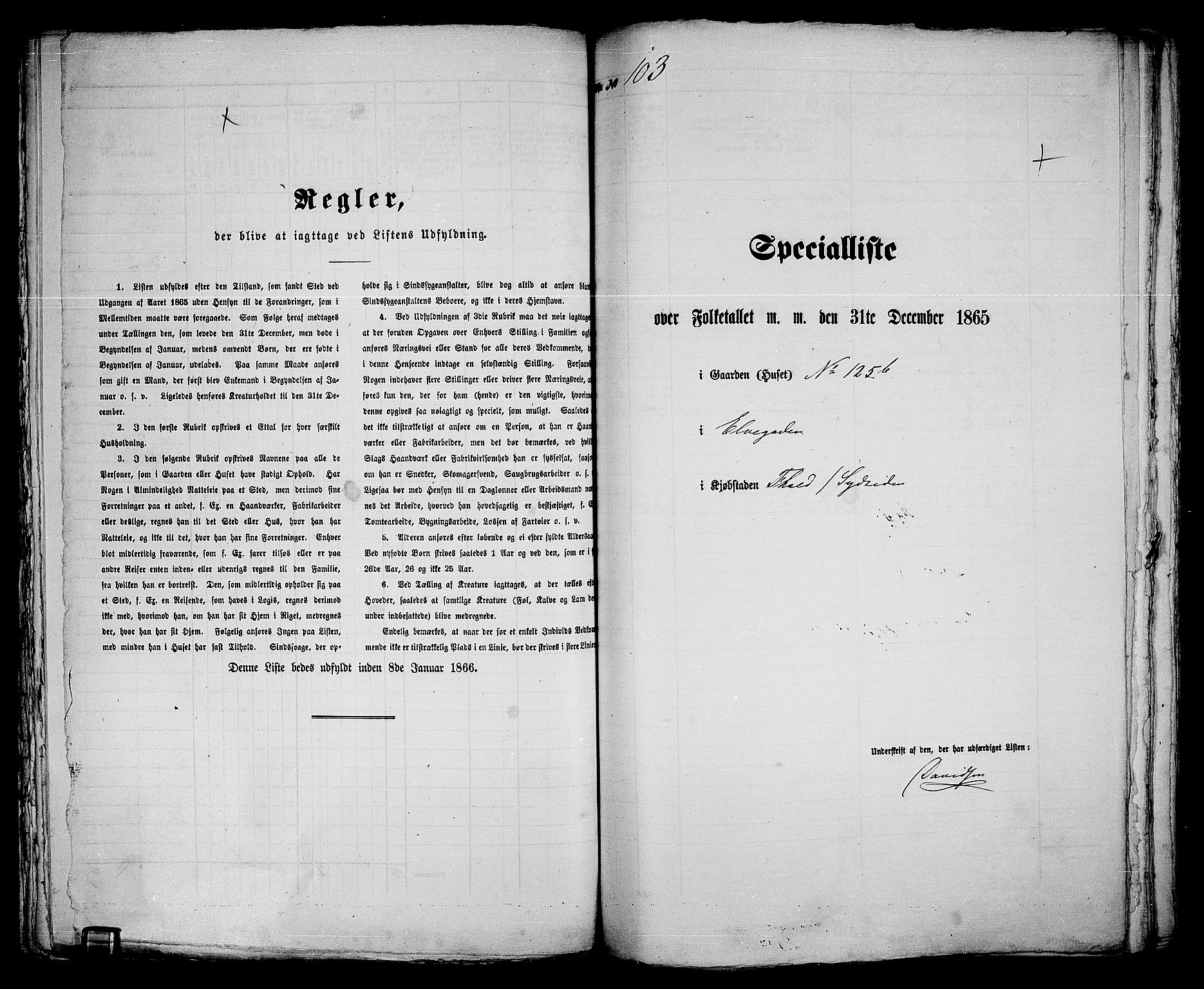 RA, 1865 census for Fredrikshald, 1865, p. 219