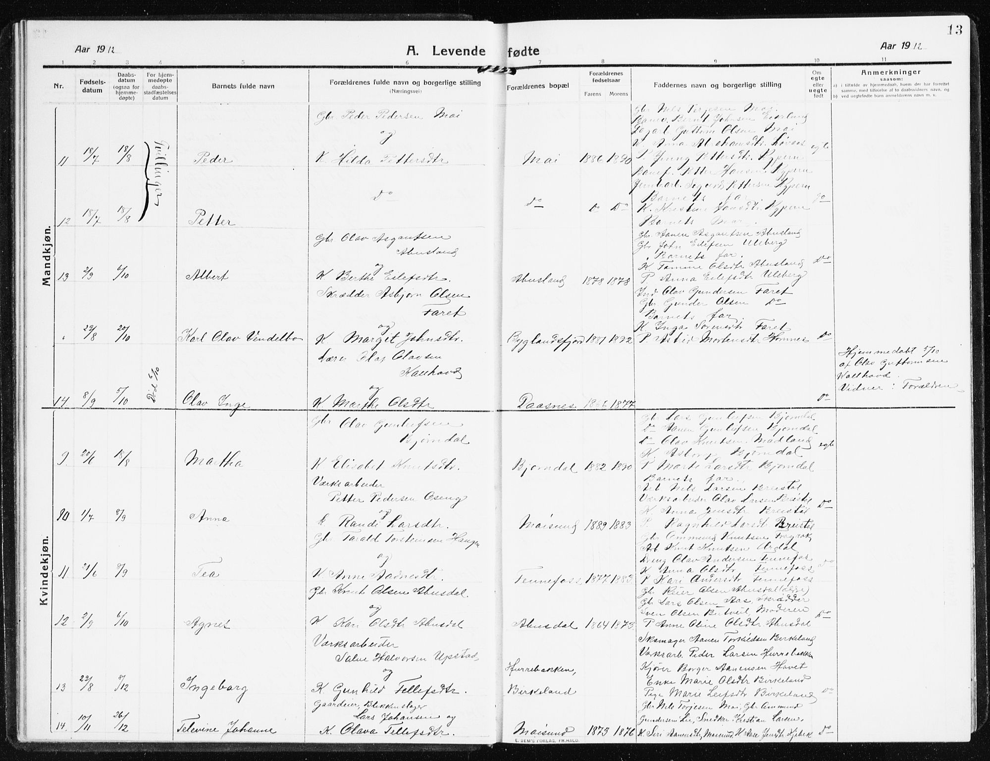 Evje sokneprestkontor, SAK/1111-0008/F/Fb/Fbb/L0003: Parish register (copy) no. B 3, 1910-1933, p. 13