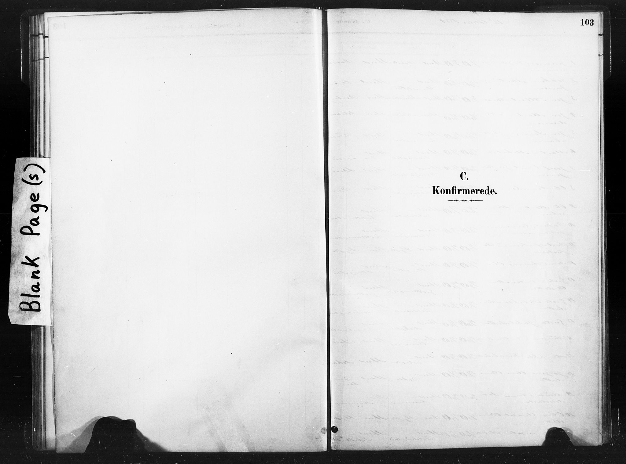 Ministerialprotokoller, klokkerbøker og fødselsregistre - Nord-Trøndelag, SAT/A-1458/736/L0361: Parish register (official) no. 736A01, 1884-1906, p. 103