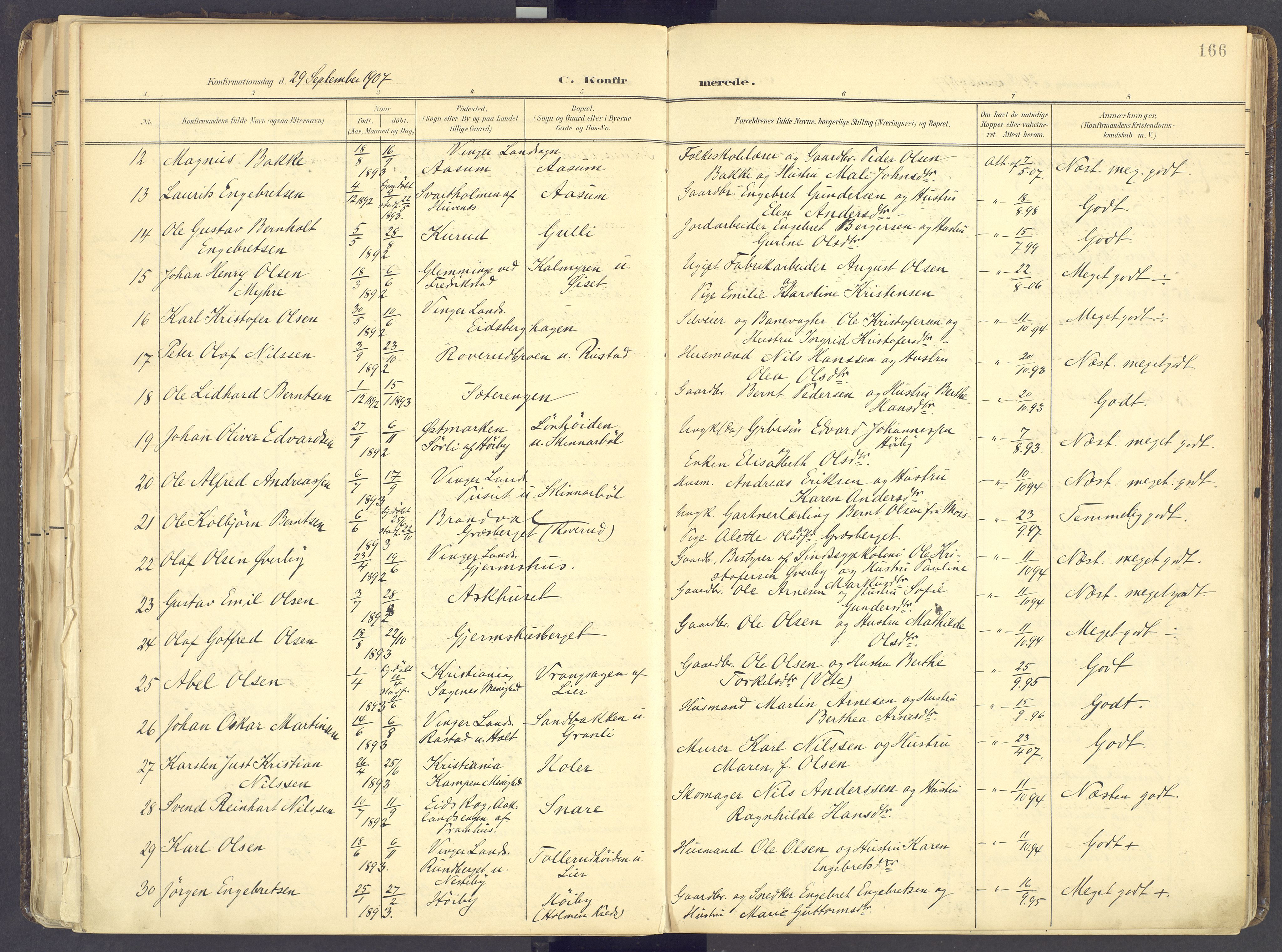 Vinger prestekontor, AV/SAH-PREST-024/H/Ha/Haa/L0017: Parish register (official) no. 17, 1901-1927, p. 166