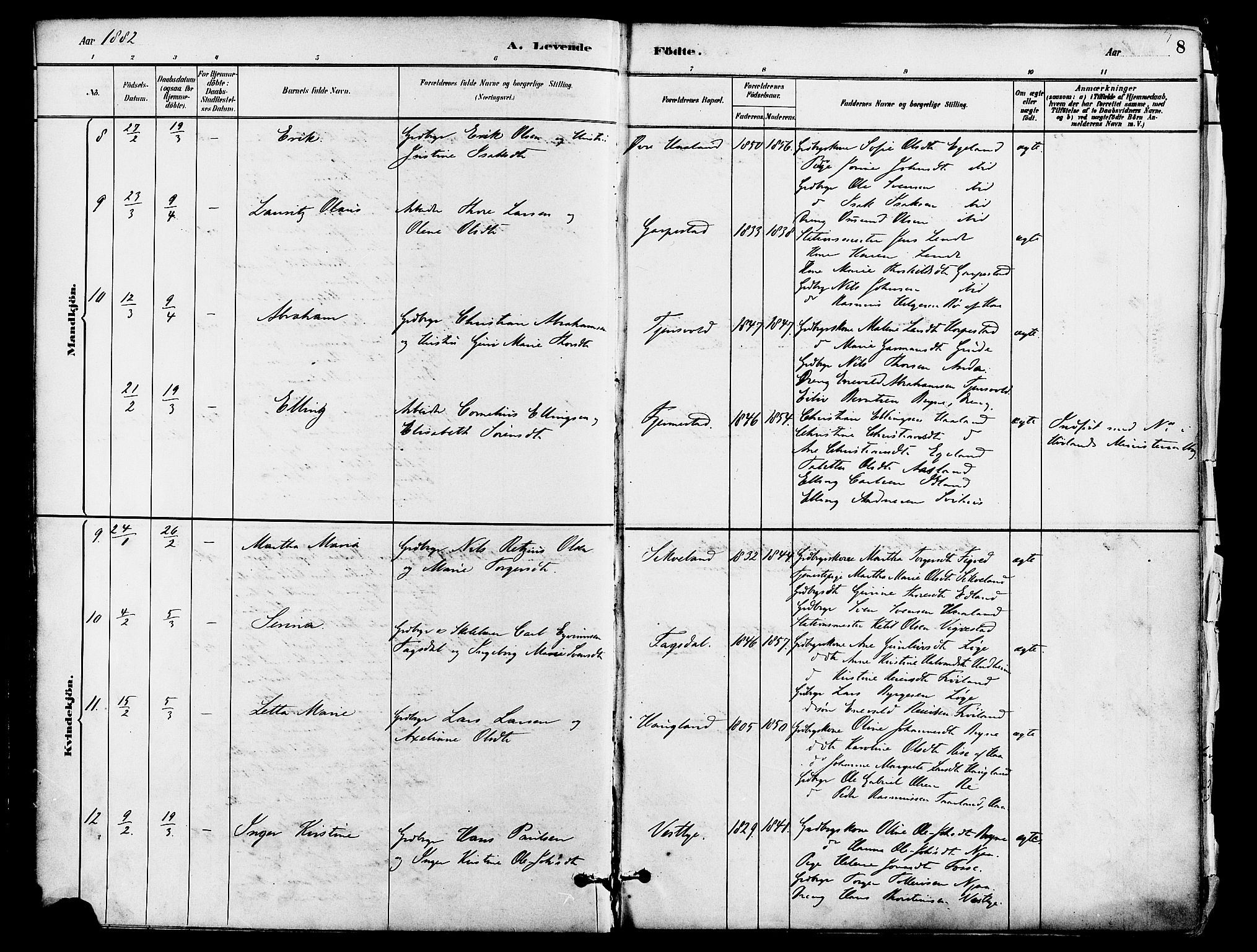 Lye sokneprestkontor, AV/SAST-A-101794/001/30BA/L0009: Parish register (official) no. A 8, 1881-1892, p. 8