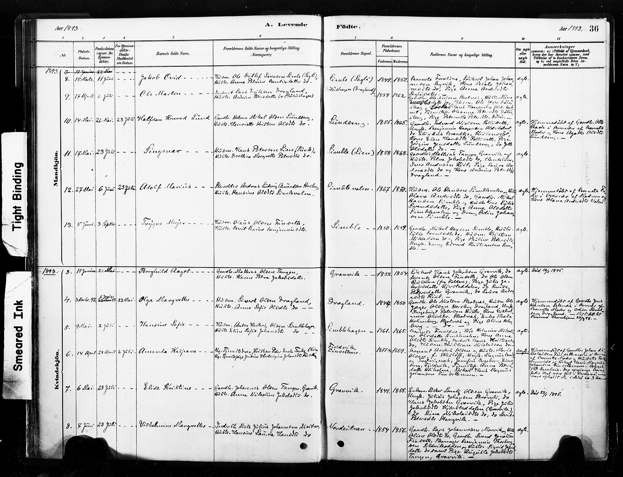 Ministerialprotokoller, klokkerbøker og fødselsregistre - Nord-Trøndelag, AV/SAT-A-1458/789/L0705: Parish register (official) no. 789A01, 1878-1910, p. 36